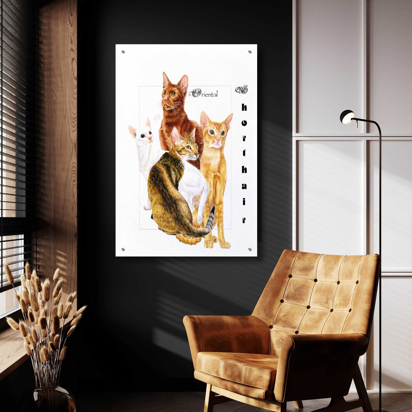 Epic Art 'Oriental Shorthair' by Barbara Keith, Acrylic Glass Wall Art,24x36