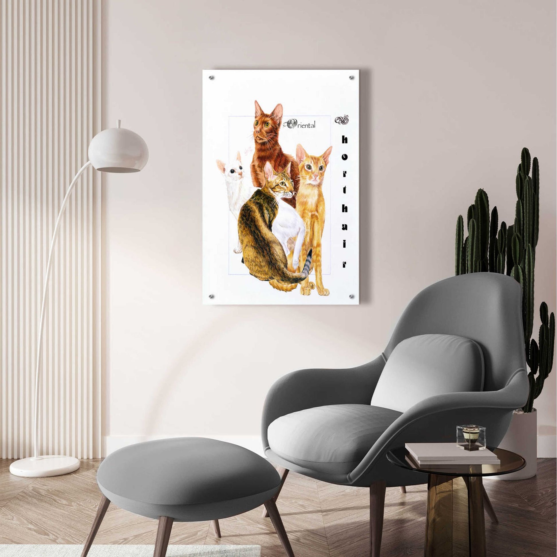 Epic Art 'Oriental Shorthair' by Barbara Keith, Acrylic Glass Wall Art,24x36