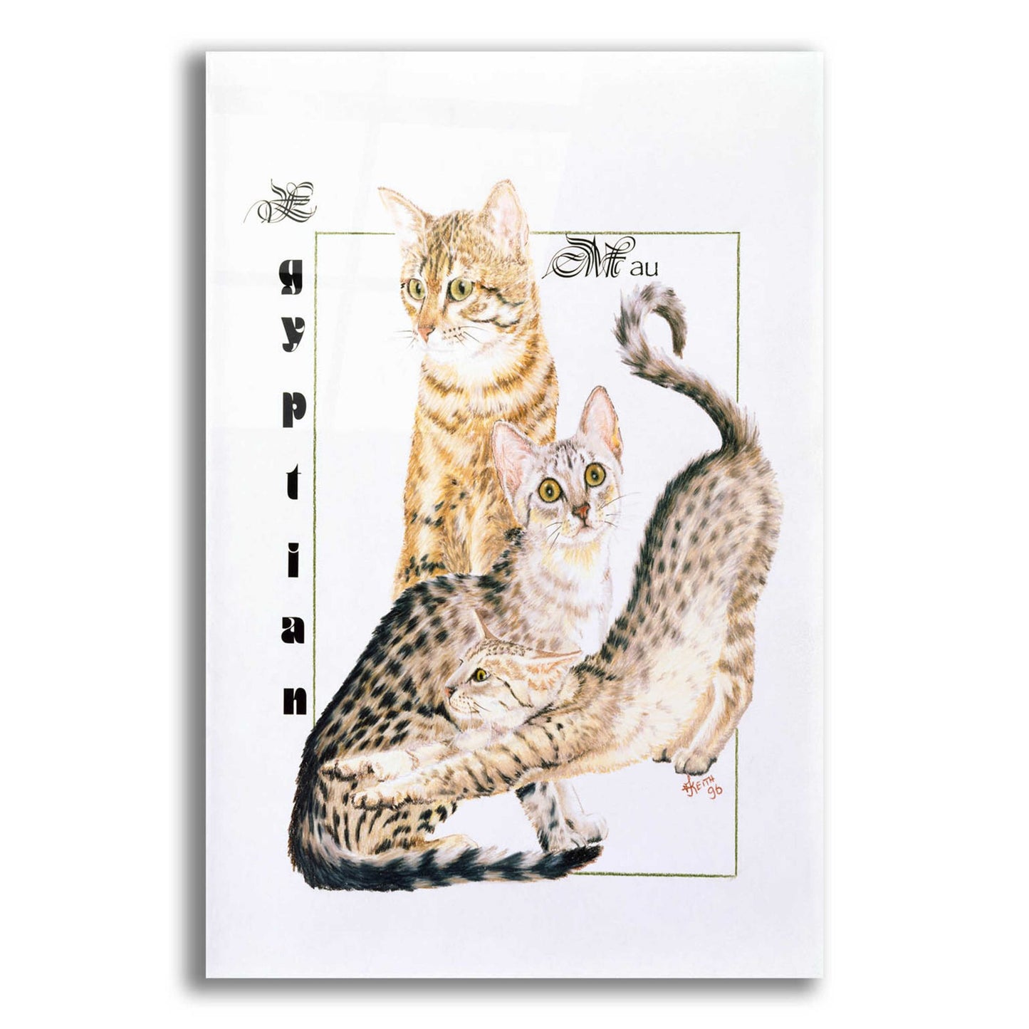 Epic Art 'Egyptian Mau' by Barbara Keith, Acrylic Glass Wall Art