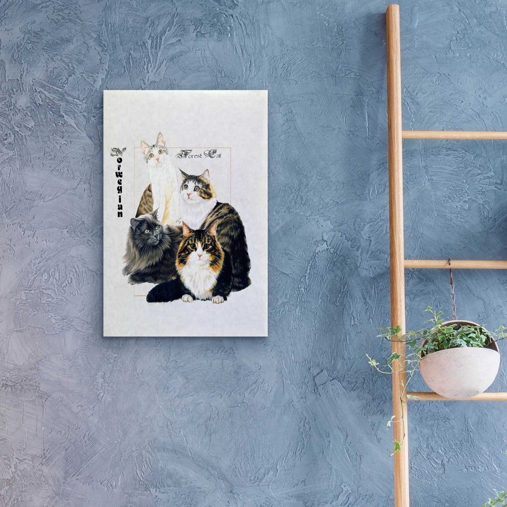 Norwegin Forest Cat by Barbara Keith - 16x24 acrylic wall art in a room