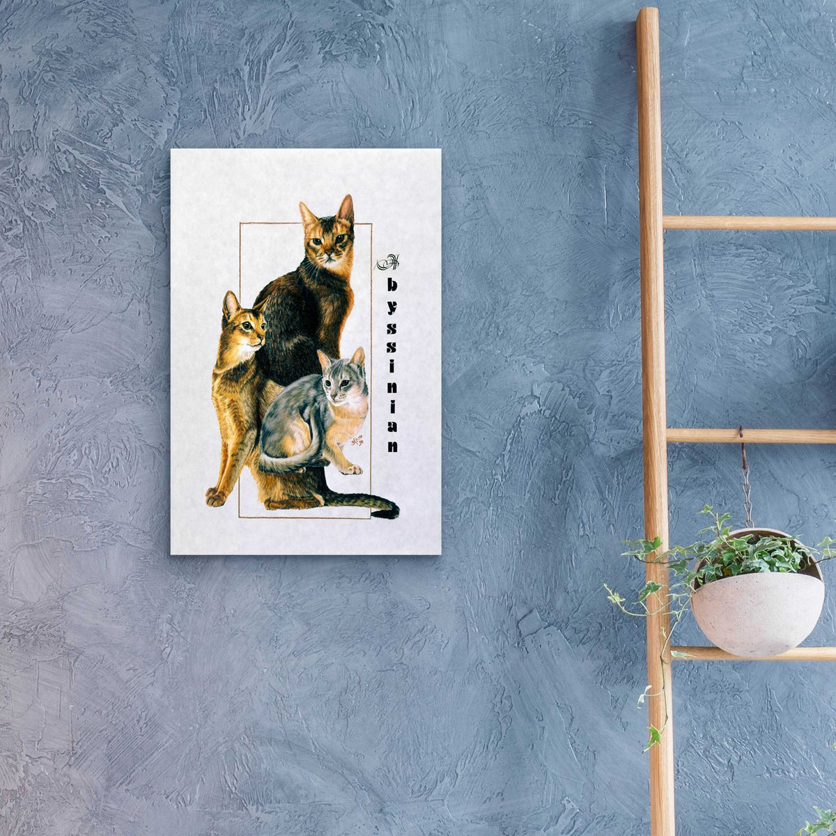 Abyssinian by Barbara Keith - 16x24 acrylic wall art in a room