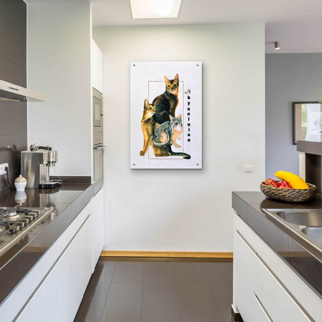 Abyssinian by Barbara Keith - 24x36 acrylic wall art in a room