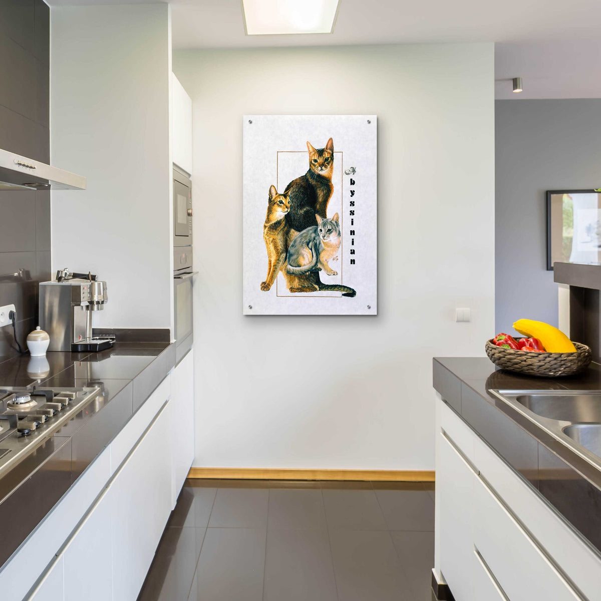 Abyssinian by Barbara Keith - 24x36 acrylic wall art in a room