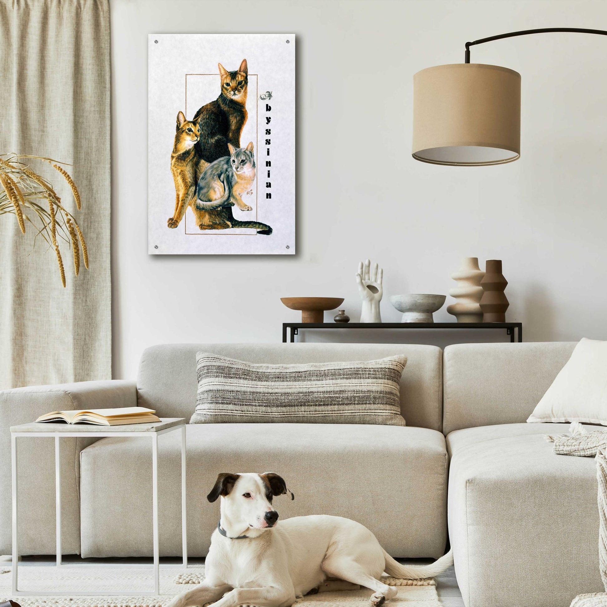 Epic Art 'Abyssinian' by Barbara Keith, Acrylic Glass Wall Art,24x36