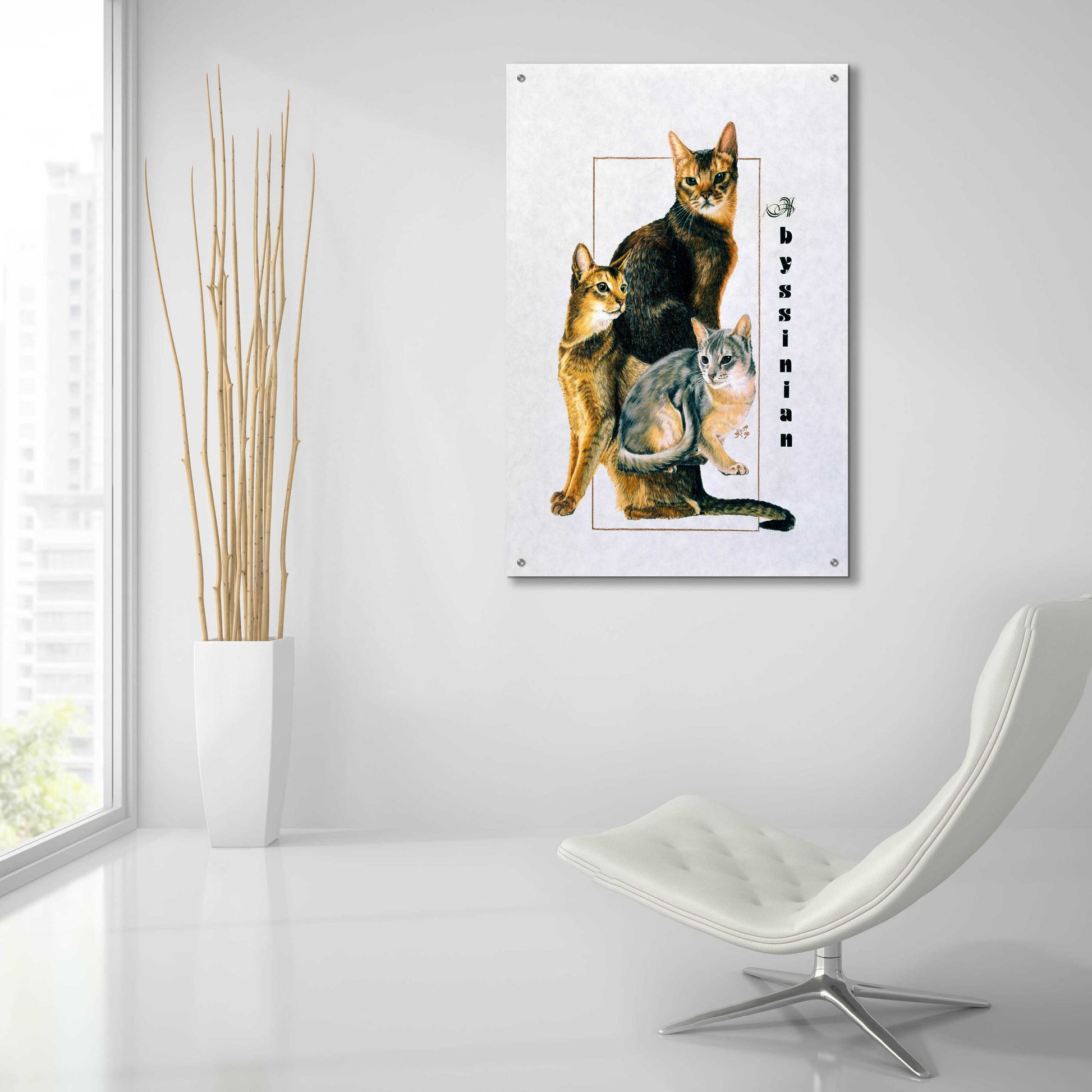 Epic Art 'Abyssinian' by Barbara Keith, Acrylic Glass Wall Art,24x36