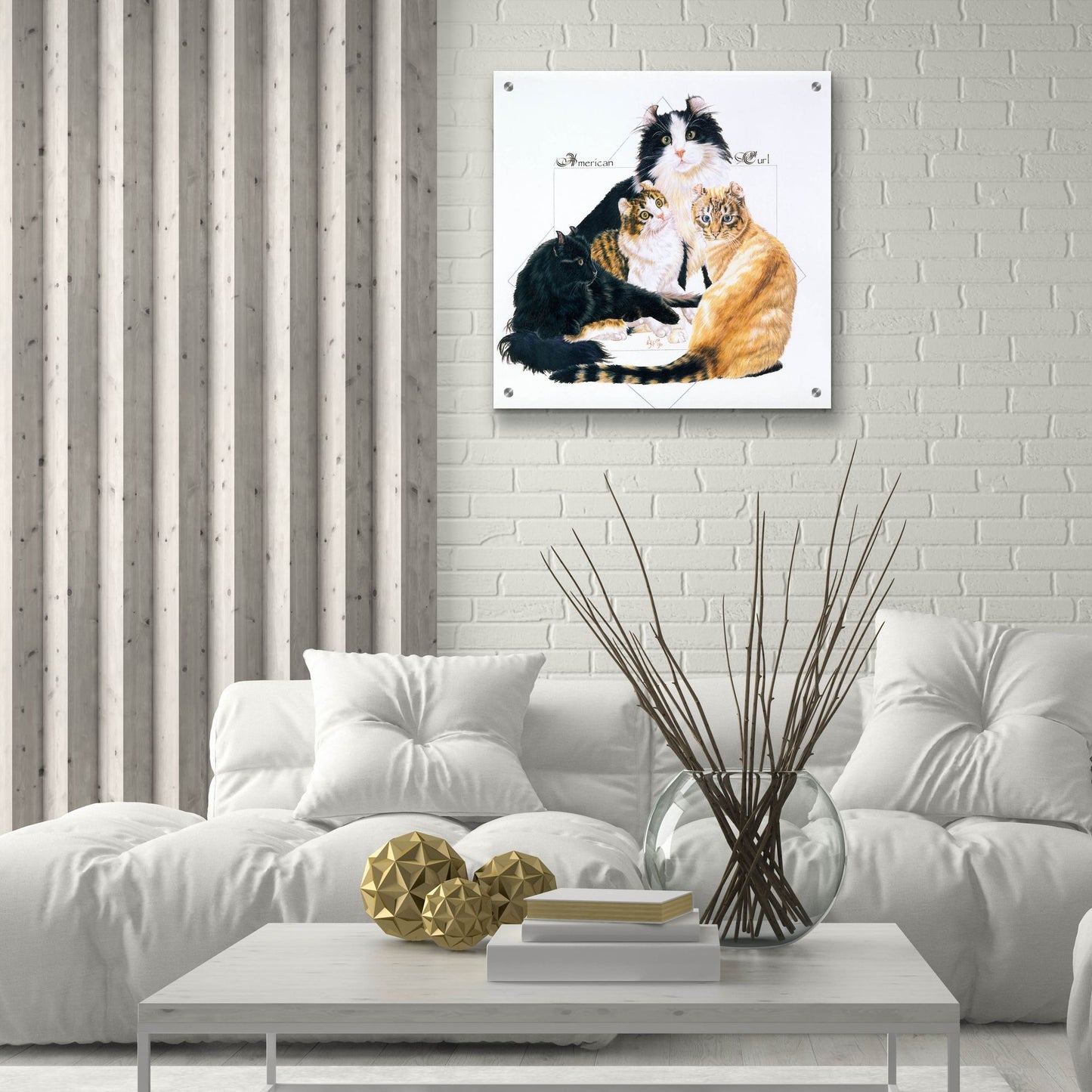 Epic Art 'American Curl' by Barbara Keith, Acrylic Glass Wall Art,24x24