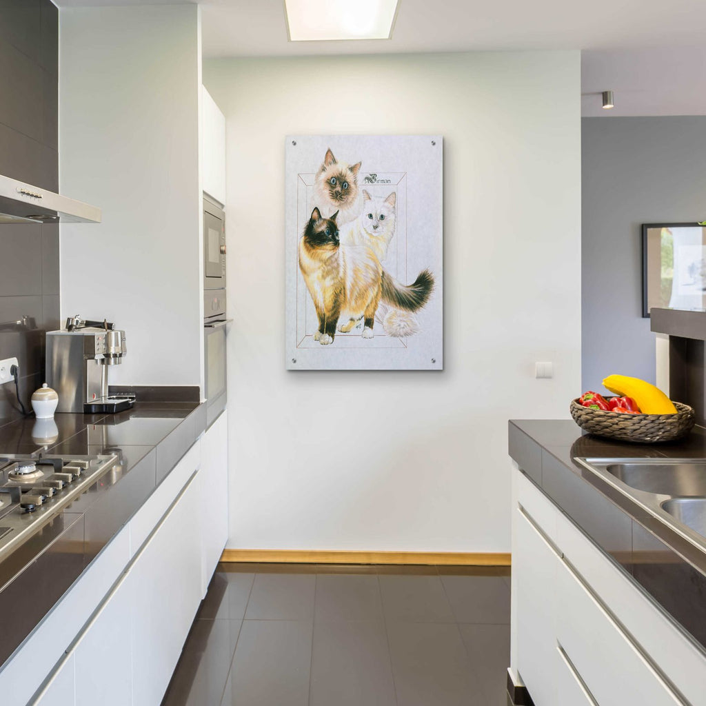 Birman by Barbara Keith - 24x36 acrylic wall art in a room