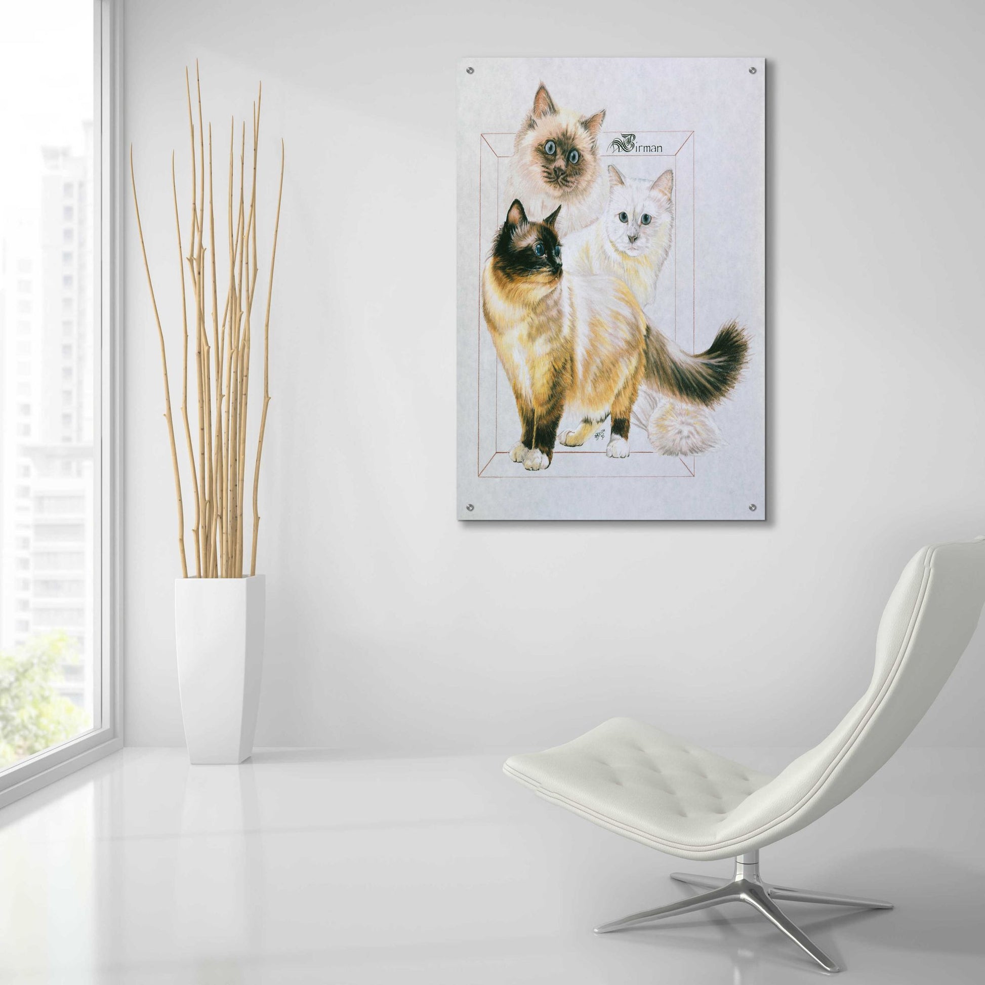 Epic Art 'Birman' by Barbara Keith, Acrylic Glass Wall Art,24x36