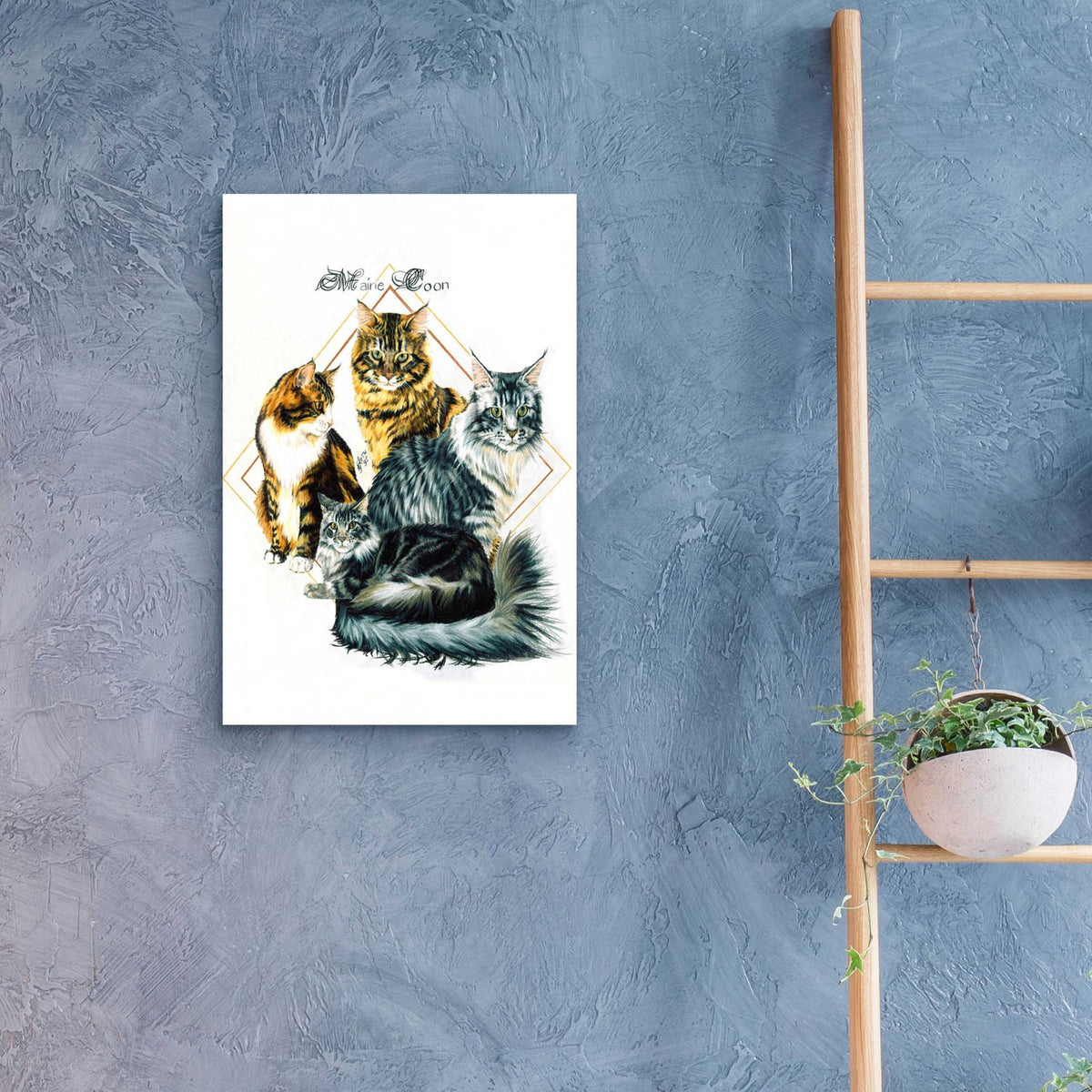 Maine Coon by Barbara Keith - 16x24 acrylic wall art in a room