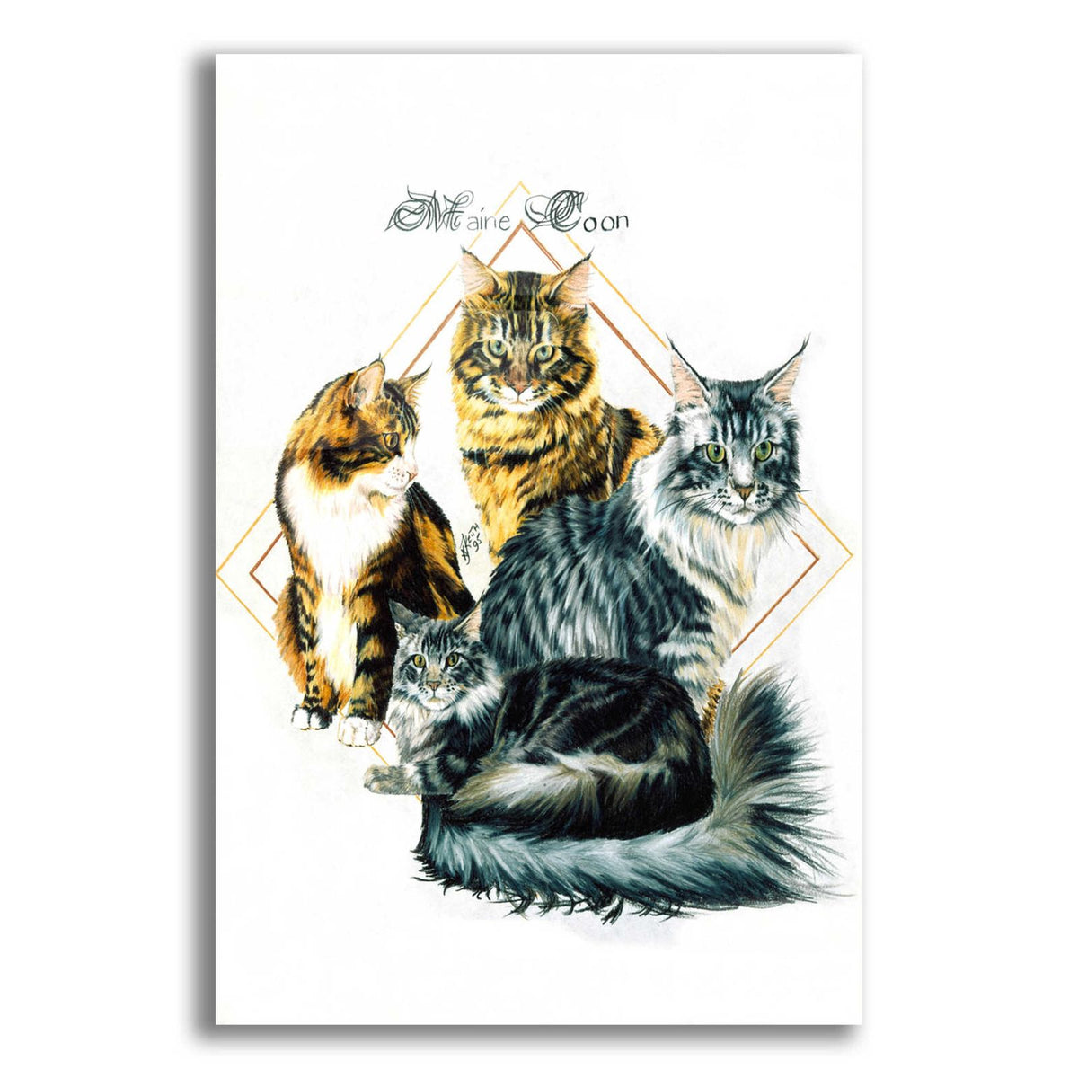 Maine Coon by Barbara Keith acrylic glass wall art