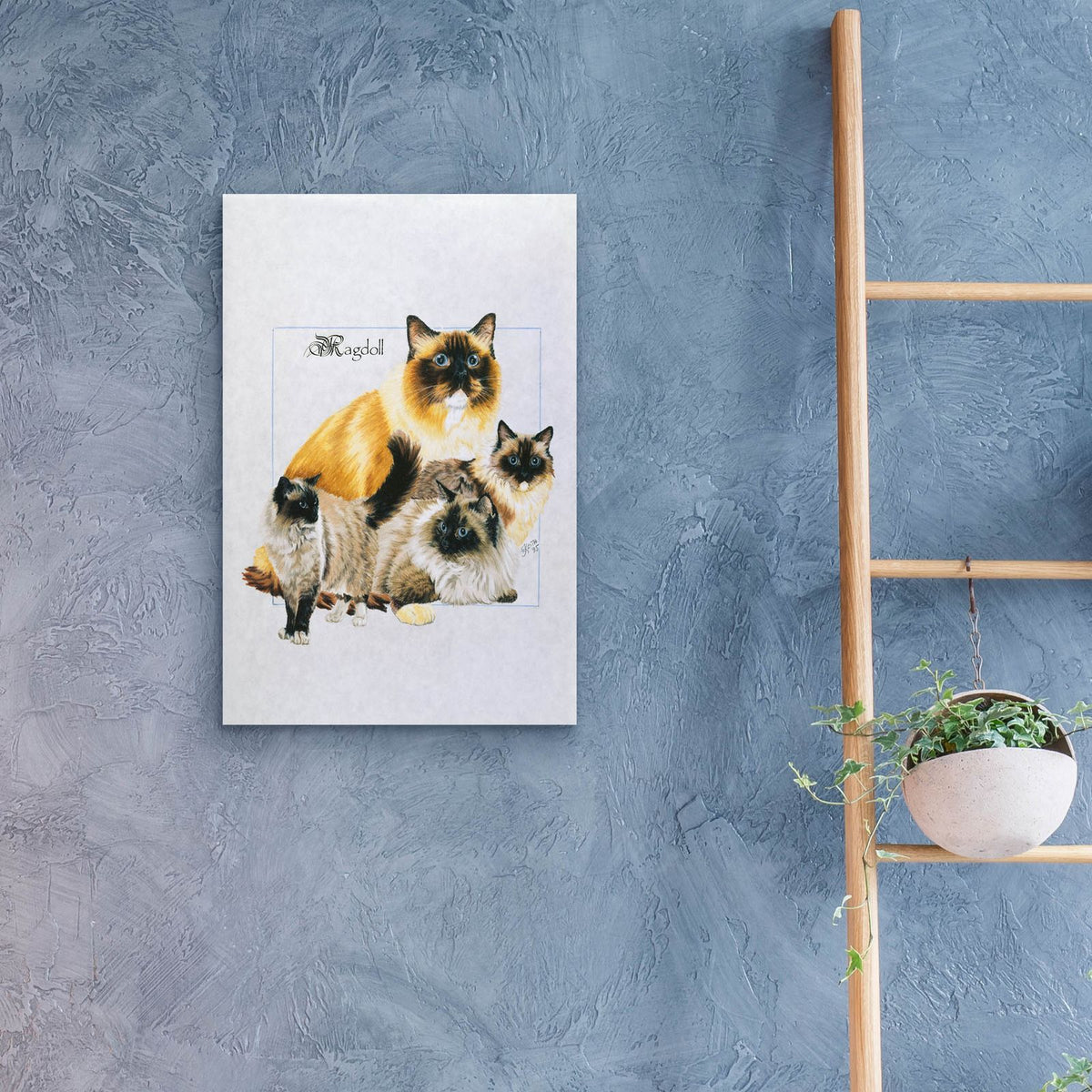 Ragdoll by Barbara Keith - 16x24 acrylic wall art in a room