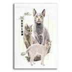 Russian Blue by Barbara Keith acrylic glass wall art