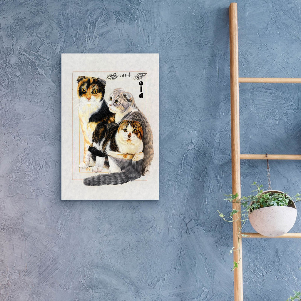 Scottish Fold by Barbara Keith - 16x24 acrylic wall art in a room