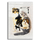 Scottish Fold by Barbara Keith acrylic glass wall art