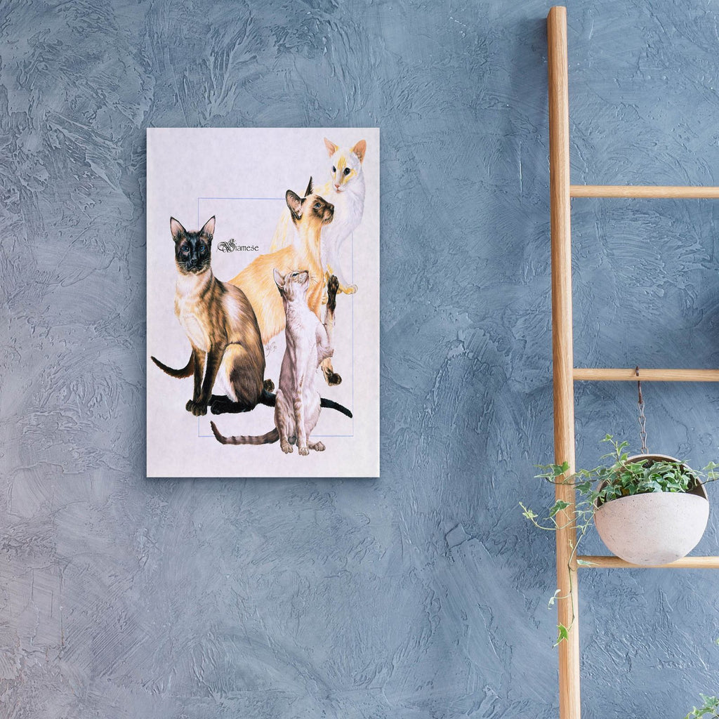 Siamese by Barbara Keith - 16x24 acrylic wall art in a room