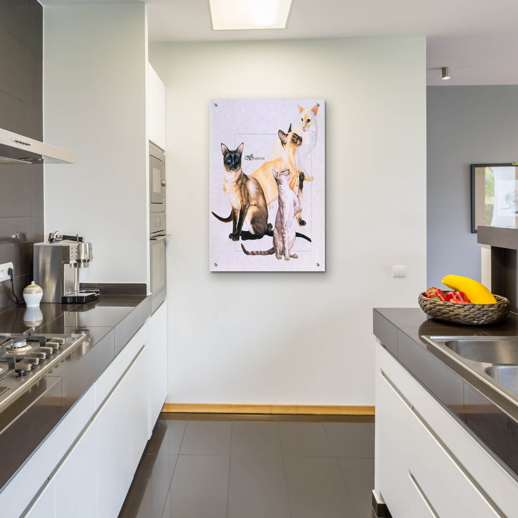 Siamese by Barbara Keith - 24x36 acrylic wall art in a room