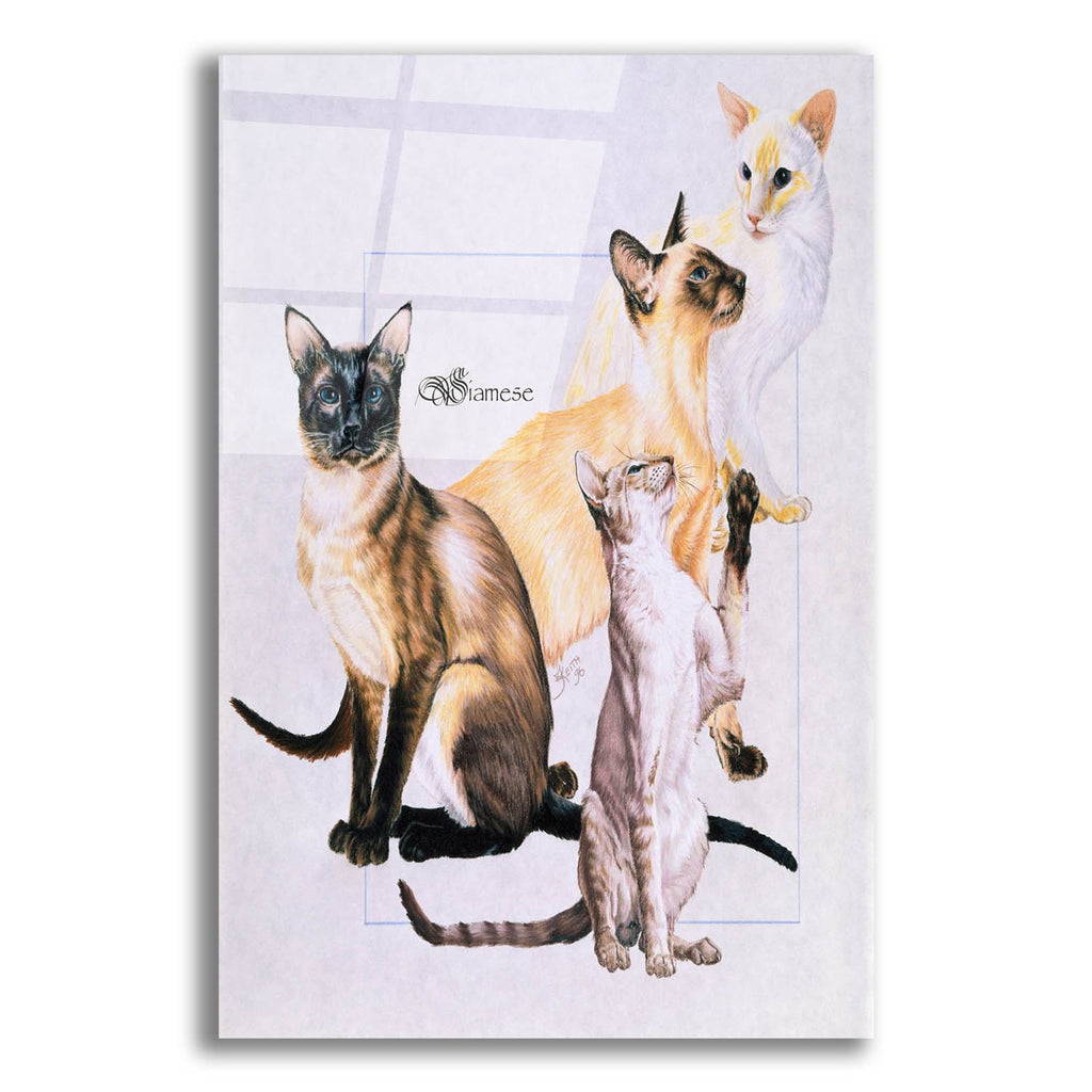 Siamese by Barbara Keith acrylic glass wall art