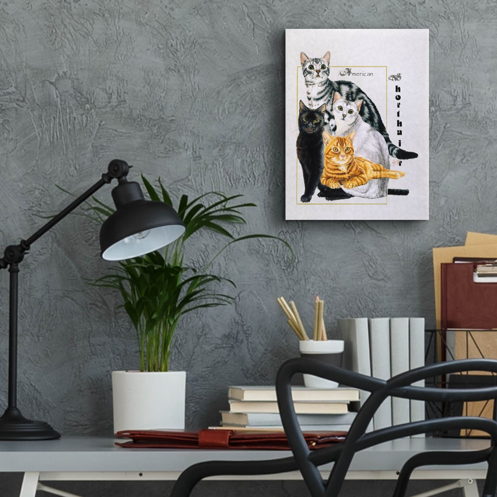 Epic Art 'American Shorthair' by Barbara Keith, Acrylic Glass Wall Art,12x16