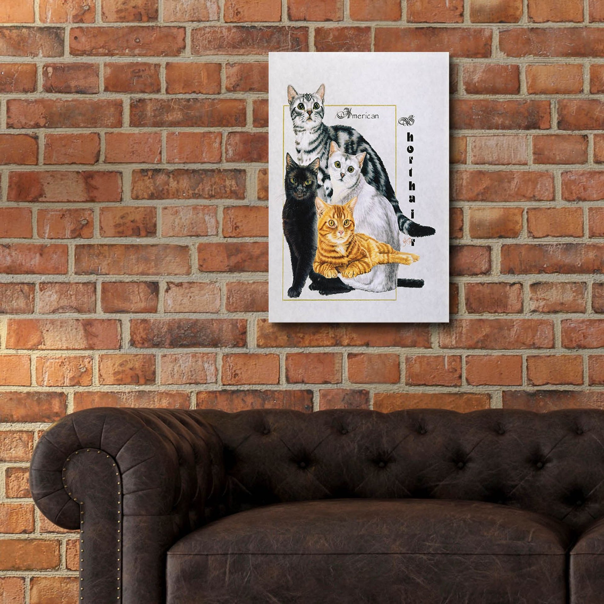 Epic Art 'American Shorthair' by Barbara Keith, Acrylic Glass Wall Art,16x24