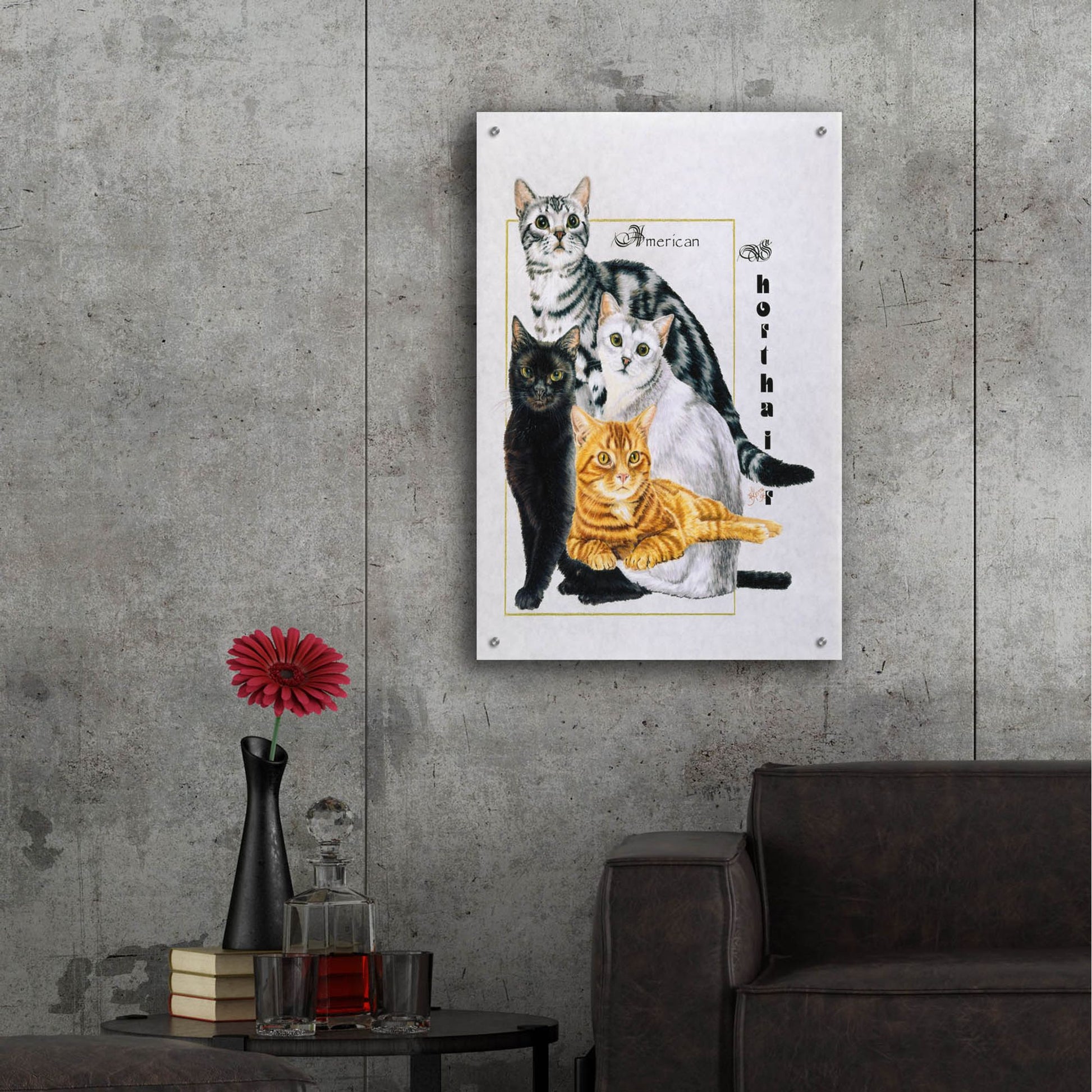 Epic Art 'American Shorthair' by Barbara Keith, Acrylic Glass Wall Art,24x36