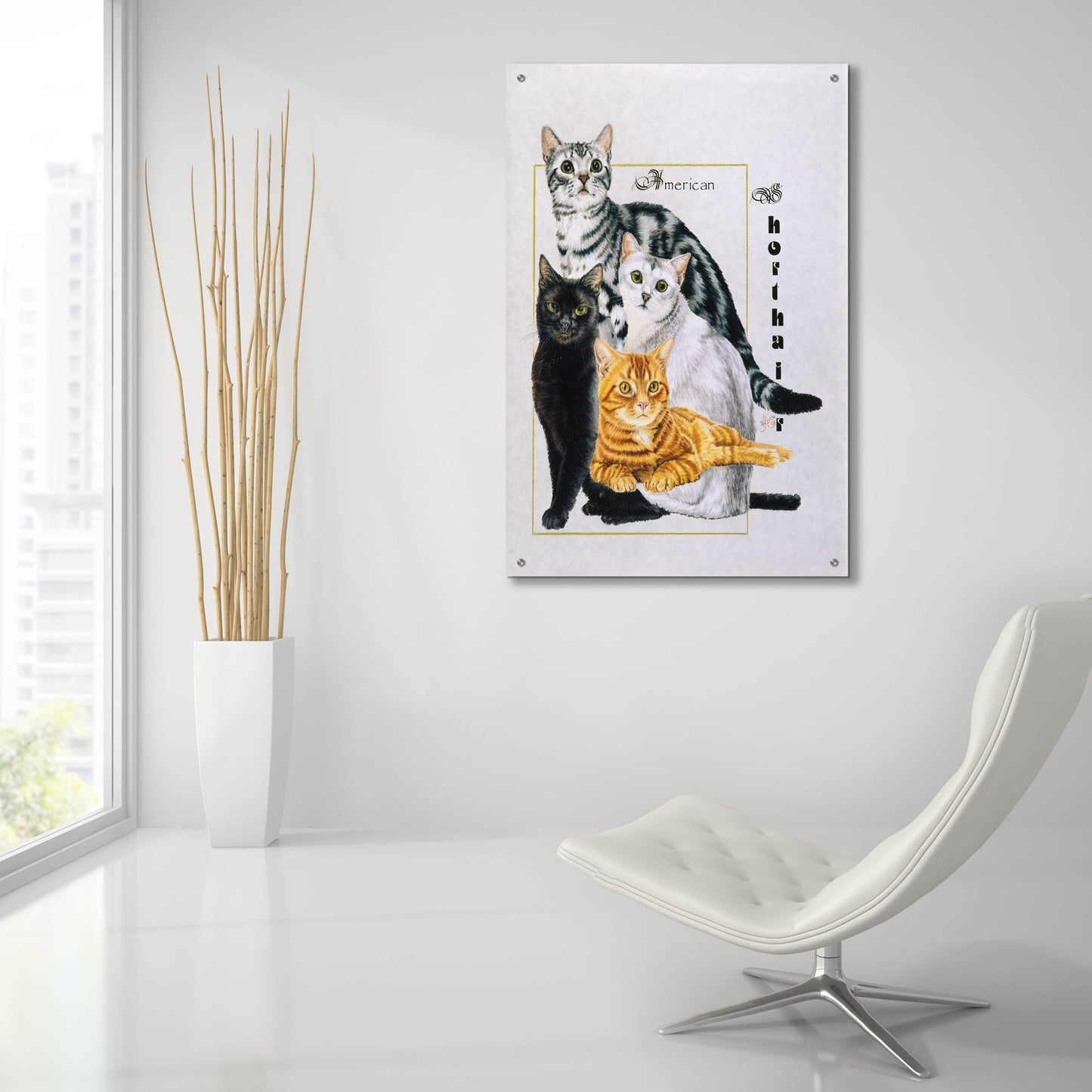 Epic Art 'American Shorthair' by Barbara Keith, Acrylic Glass Wall Art,24x36