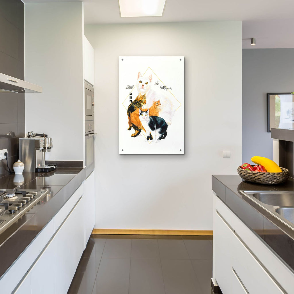Cymric And Manx by Barbara Keith - 24x36 acrylic wall art in a room