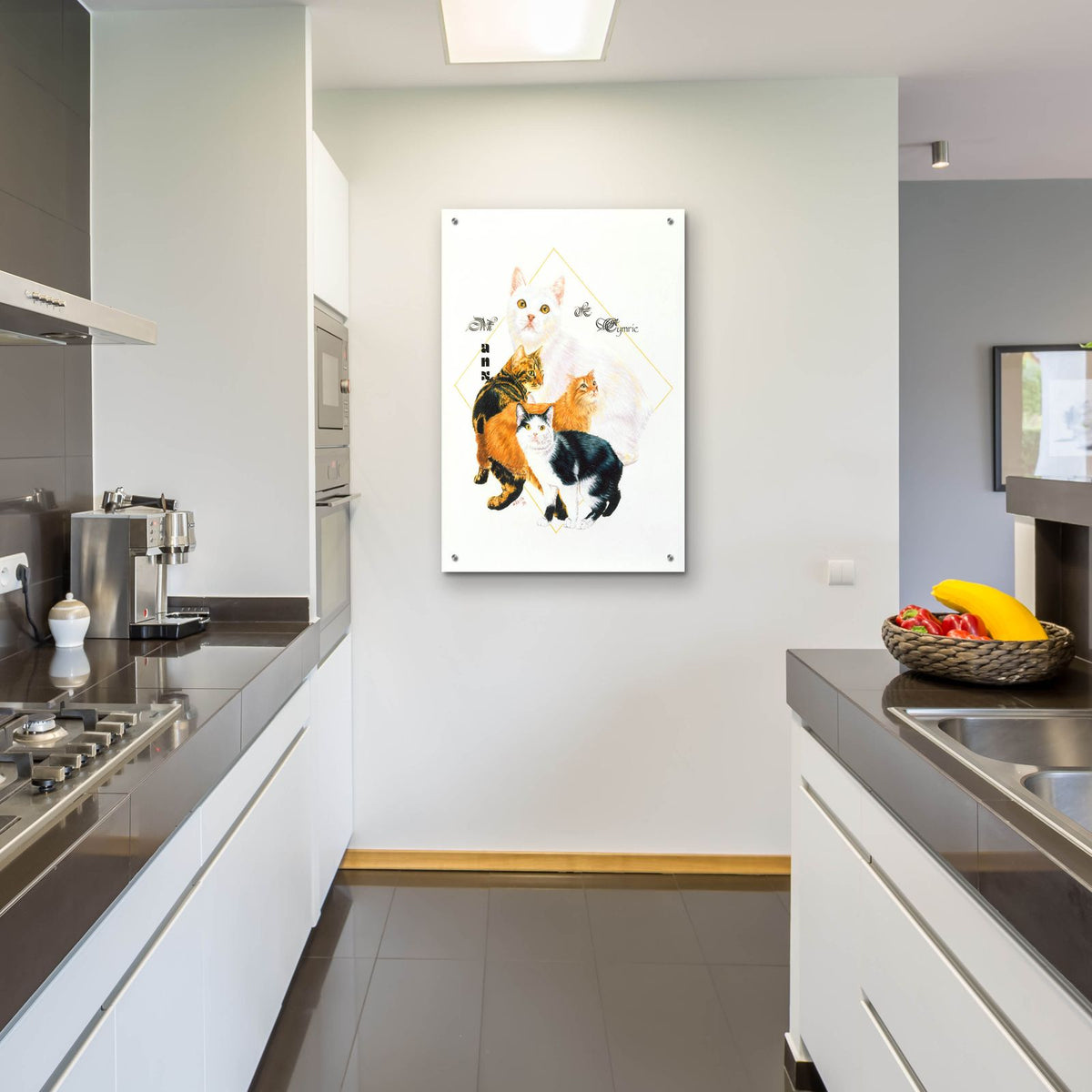 Cymric And Manx by Barbara Keith - 24x36 acrylic wall art in a room