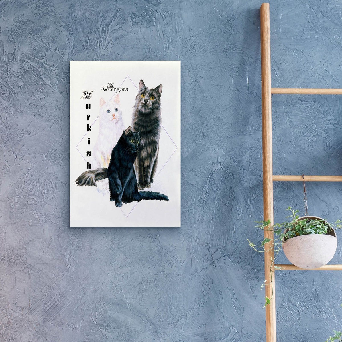 Turkish Angora by Barbara Keith - 16x24 acrylic wall art in a room