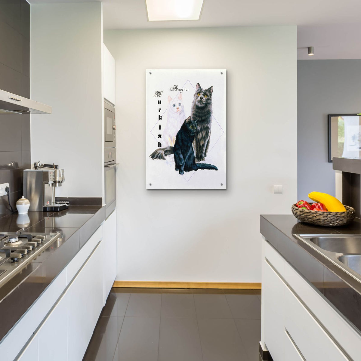 Turkish Angora by Barbara Keith - 24x36 acrylic wall art in a room