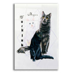 Turkish Angora by Barbara Keith acrylic glass wall art