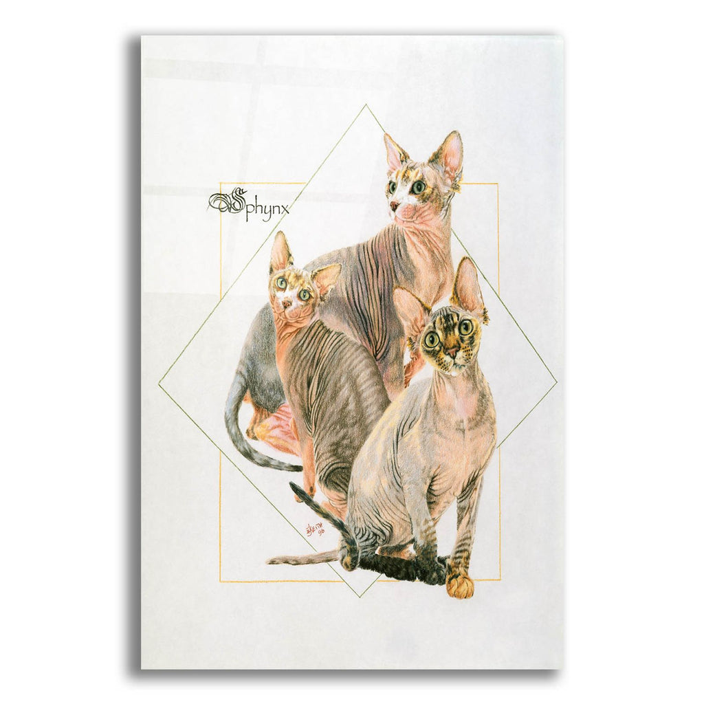 Sphynx by Barbara Keith acrylic glass wall art