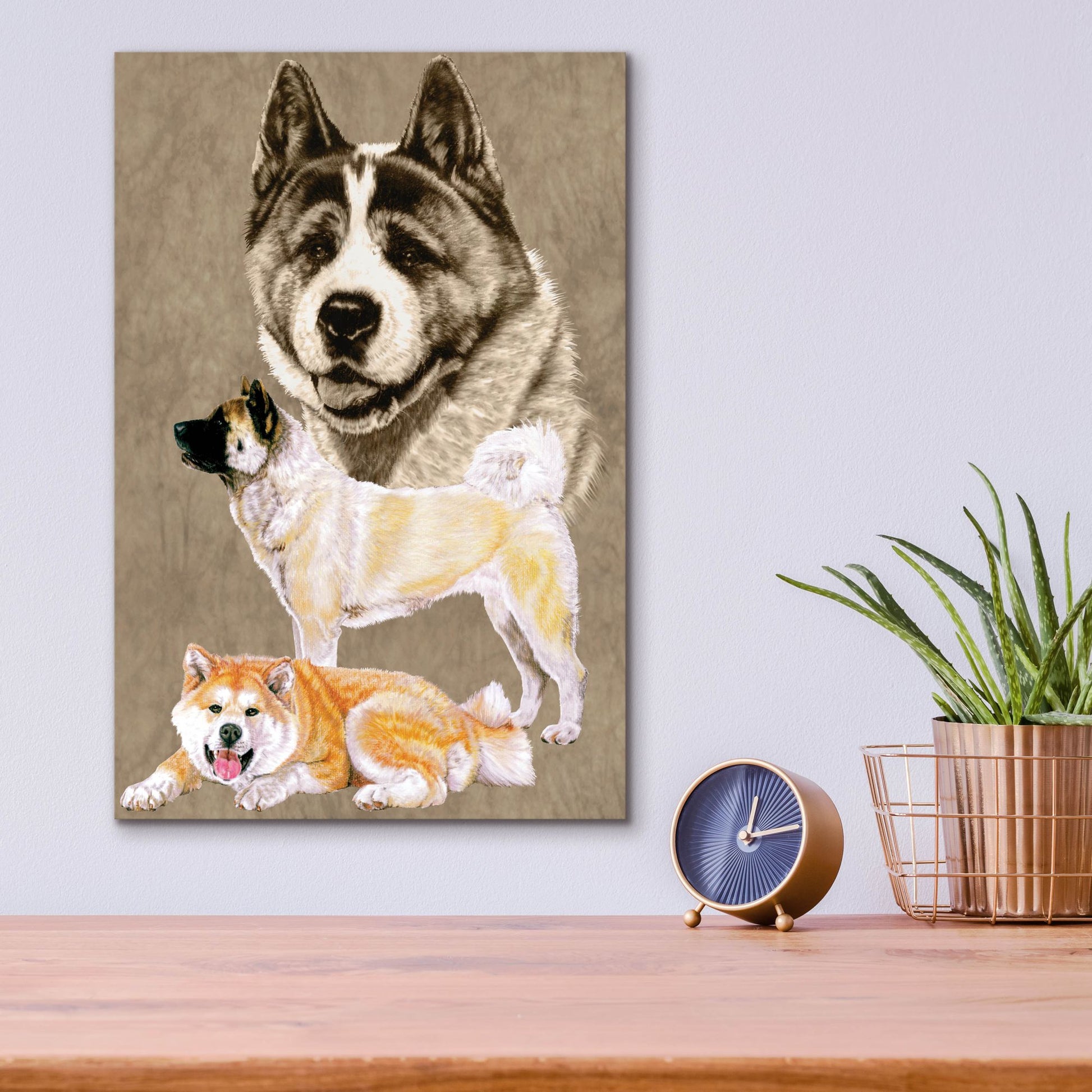 Epic Art 'Akita' by Barbara Keith, Acrylic Glass Wall Art,12x16