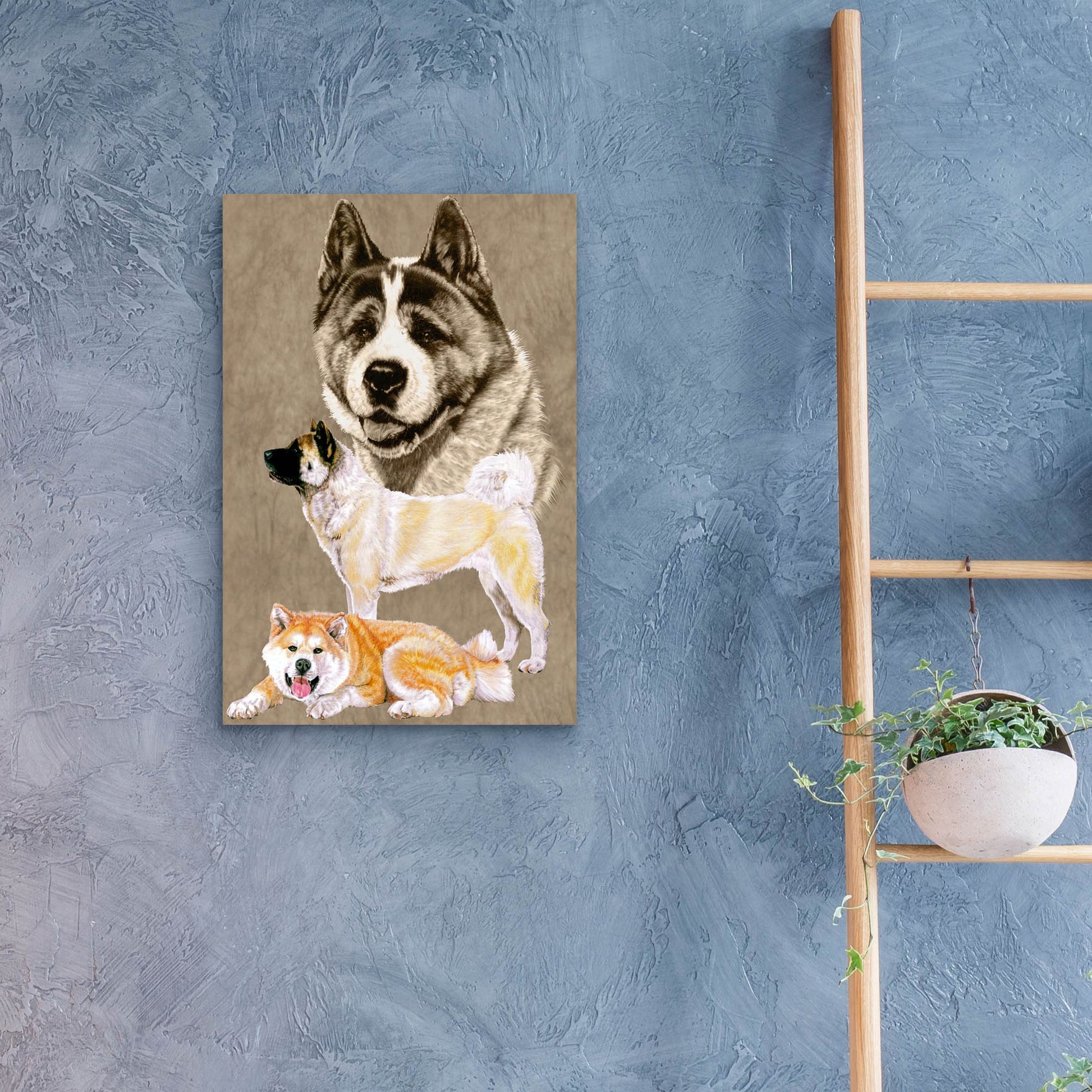 Epic Art 'Akita' by Barbara Keith, Acrylic Glass Wall Art,16x24