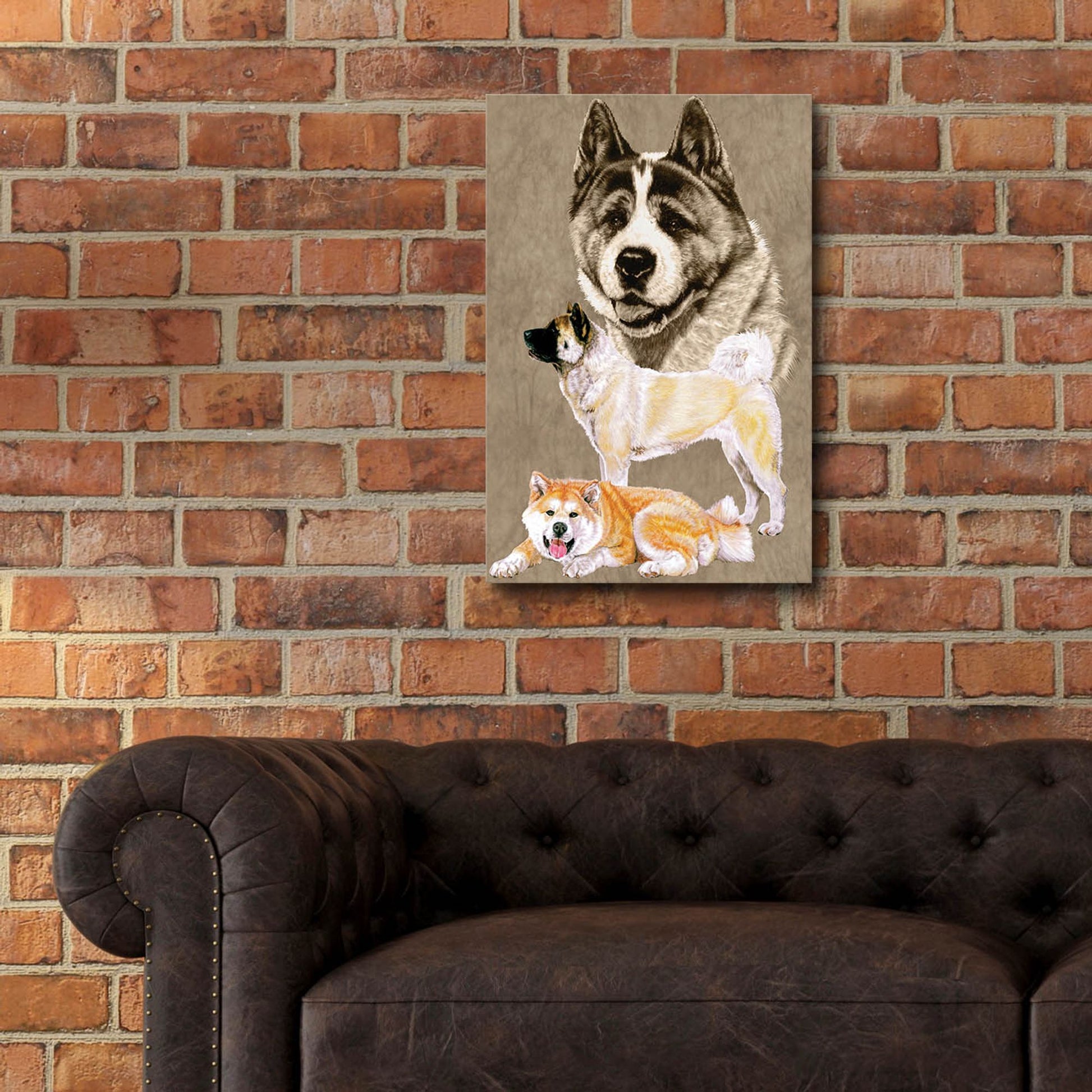 Epic Art 'Akita' by Barbara Keith, Acrylic Glass Wall Art,16x24