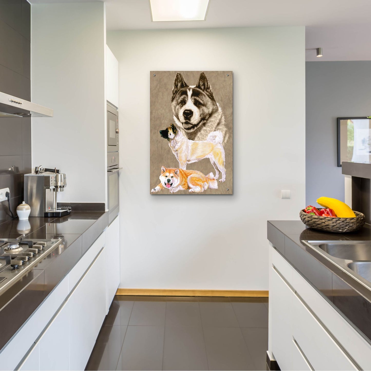 Epic Art 'Akita' by Barbara Keith, Acrylic Glass Wall Art,24x36