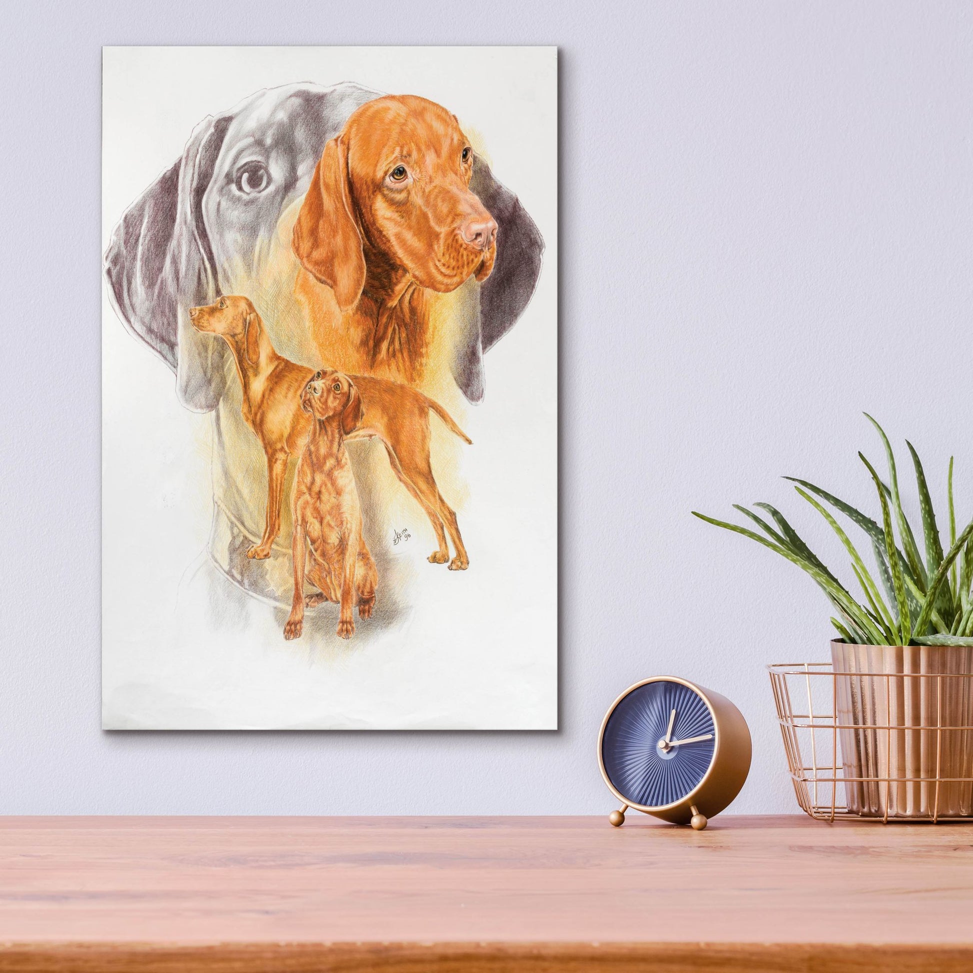 Epic Art 'Hungarian Vizsla' by Barbara Keith, Acrylic Glass Wall Art,12x16