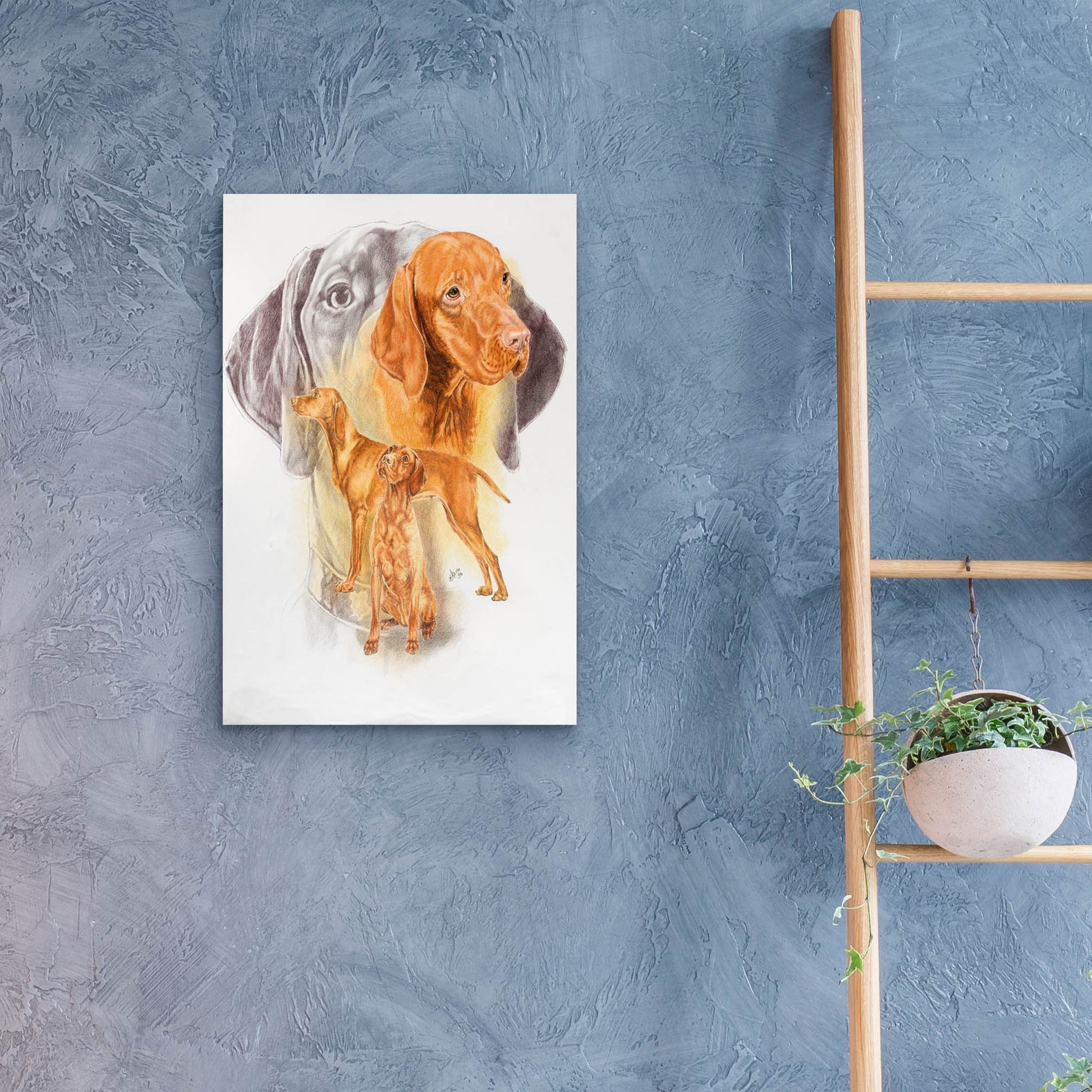 Epic Art 'Hungarian Vizsla' by Barbara Keith, Acrylic Glass Wall Art,16x24