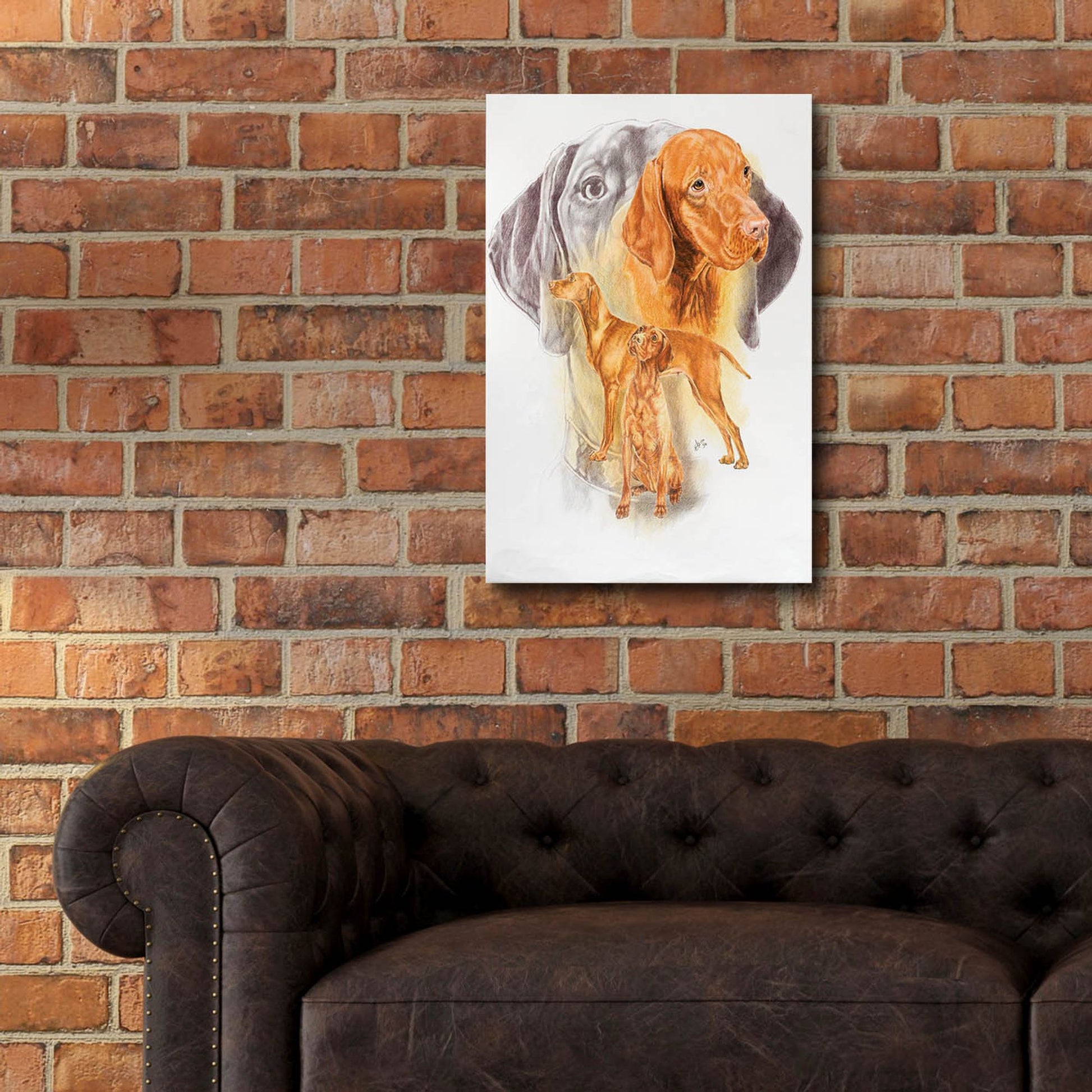 Epic Art 'Hungarian Vizsla' by Barbara Keith, Acrylic Glass Wall Art,16x24