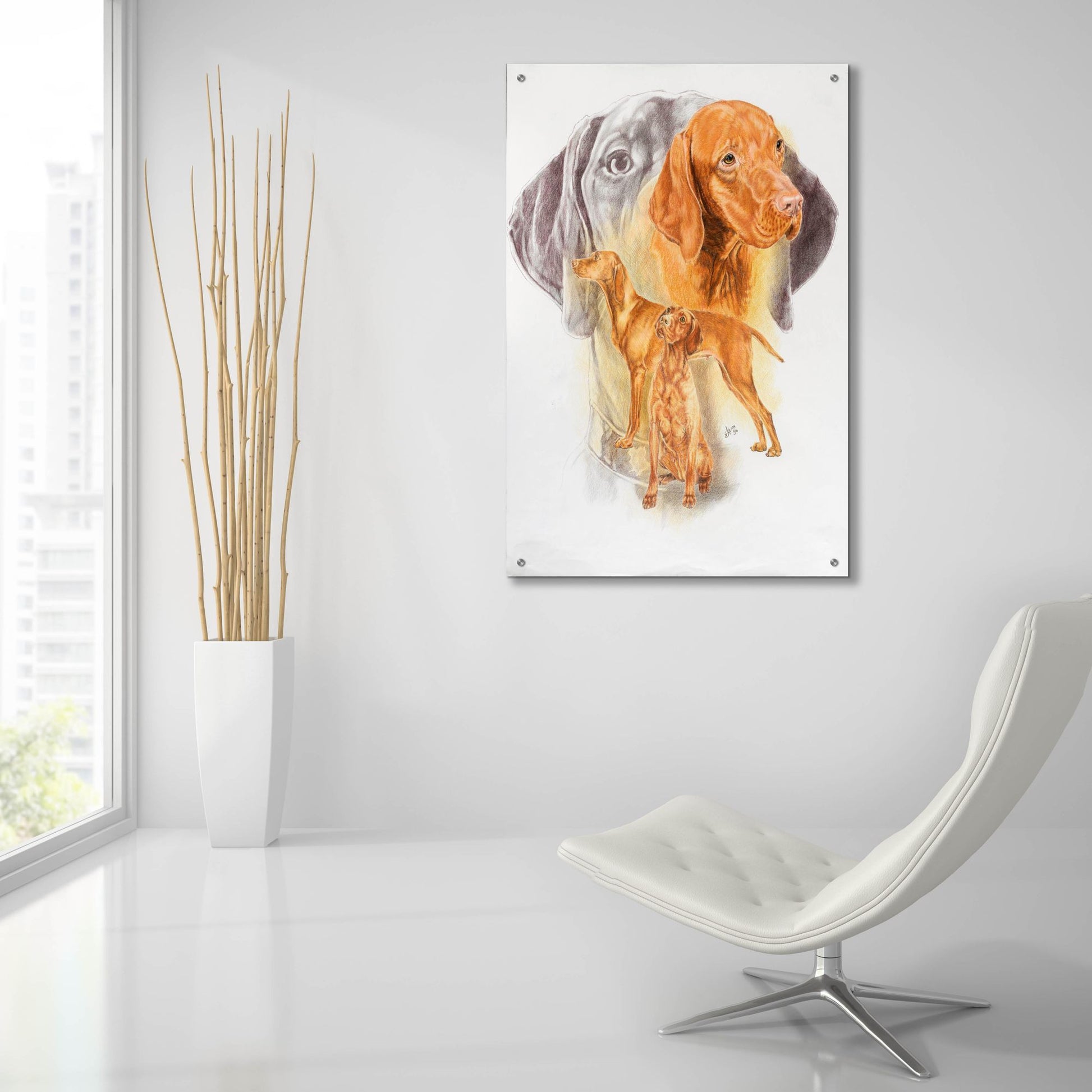 Epic Art 'Hungarian Vizsla' by Barbara Keith, Acrylic Glass Wall Art,24x36