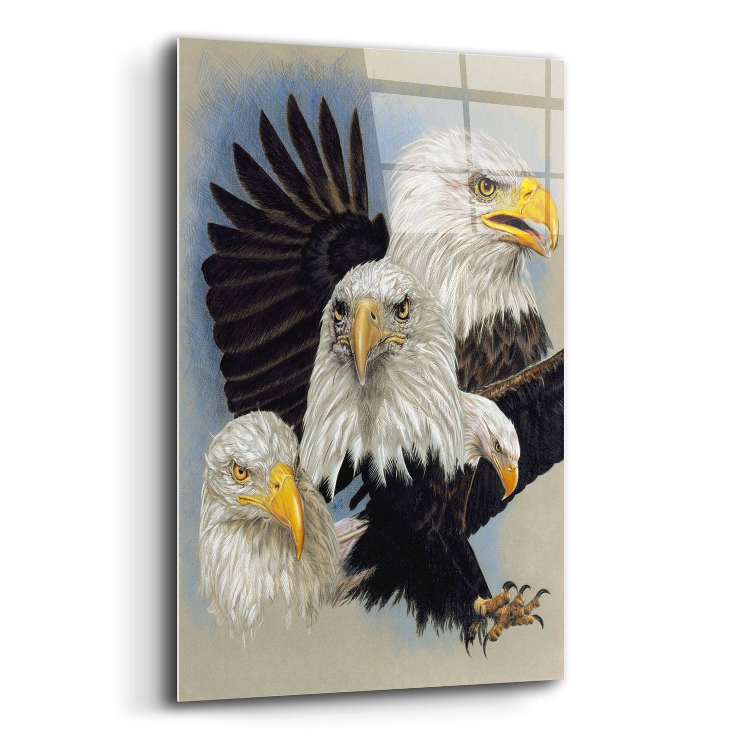 Epic Art 'Valor' by Barbara Keith, Acrylic Glass Wall Art,12x16