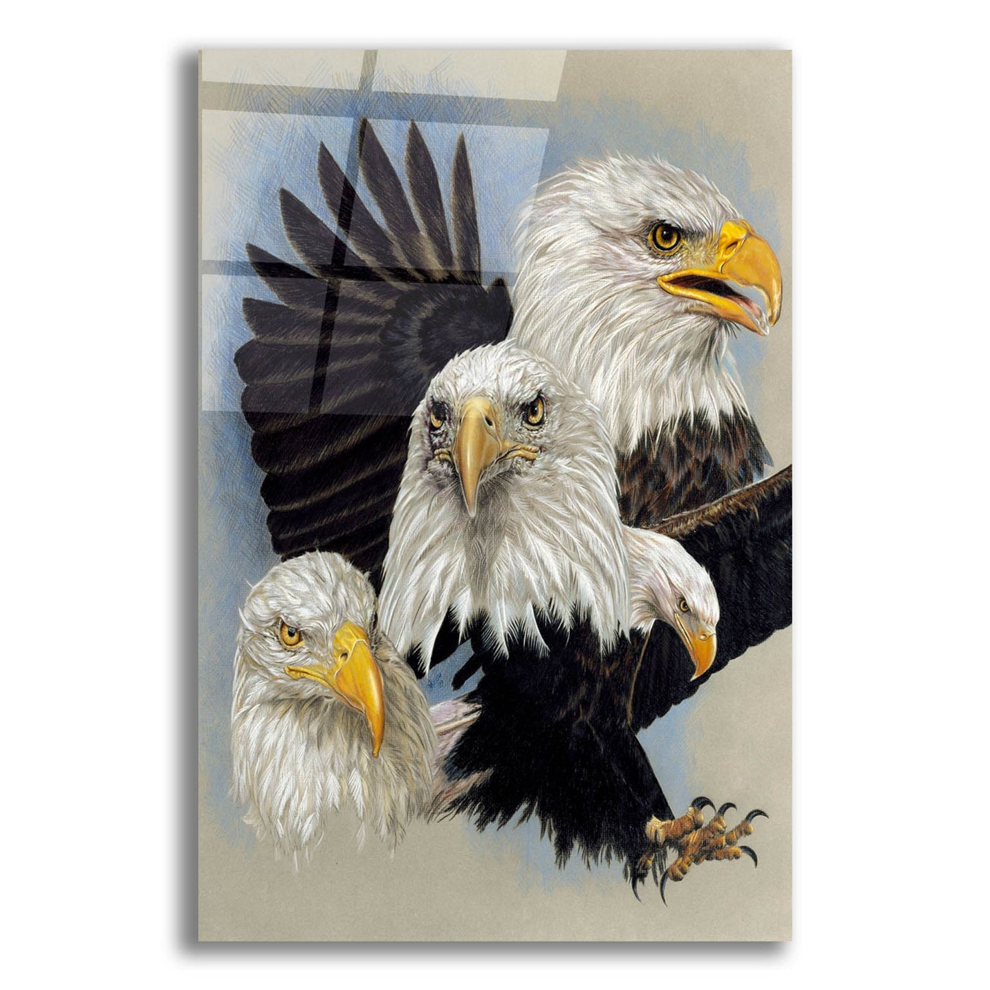 Epic Art 'Valor' by Barbara Keith, Acrylic Glass Wall Art,12x16