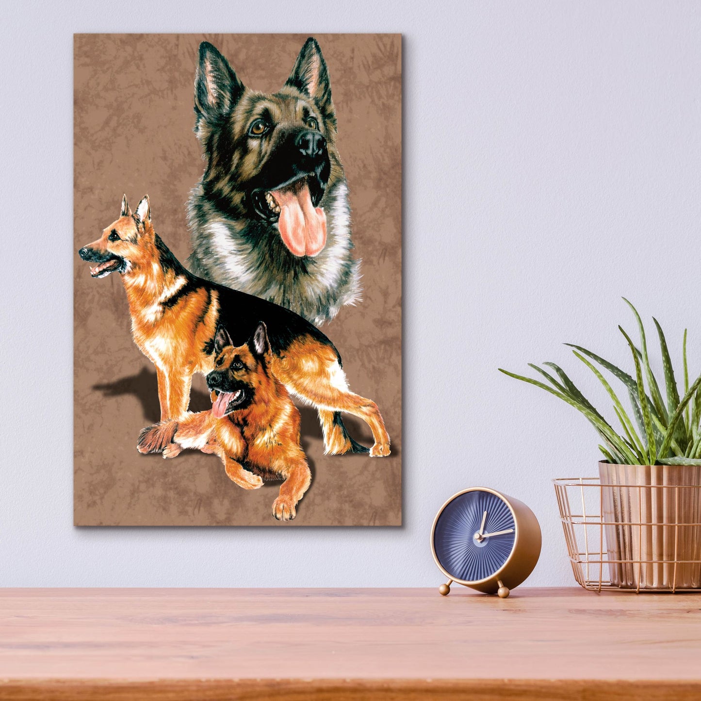 Epic Art 'German Shepherd' by Barbara Keith, Acrylic Glass Wall Art,12x16