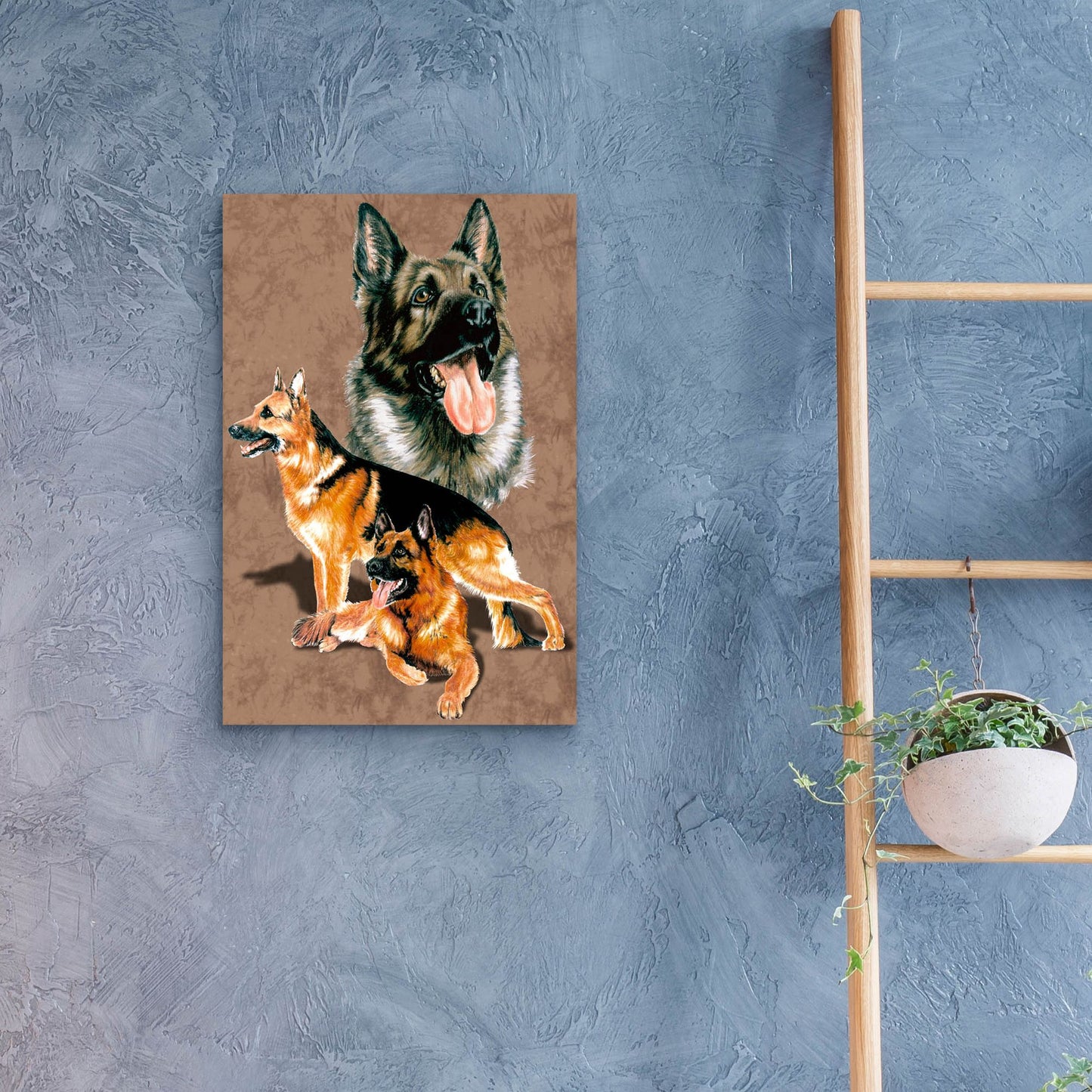 Epic Art 'German Shepherd' by Barbara Keith, Acrylic Glass Wall Art,16x24