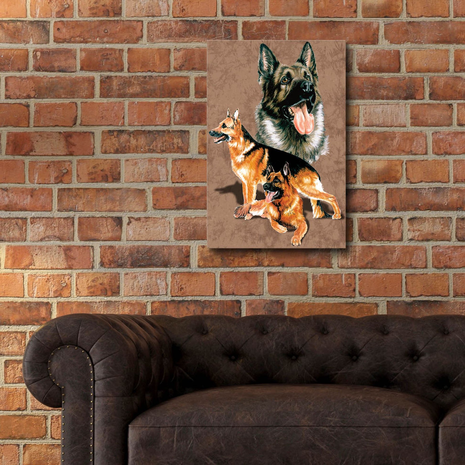 Epic Art 'German Shepherd' by Barbara Keith, Acrylic Glass Wall Art,16x24