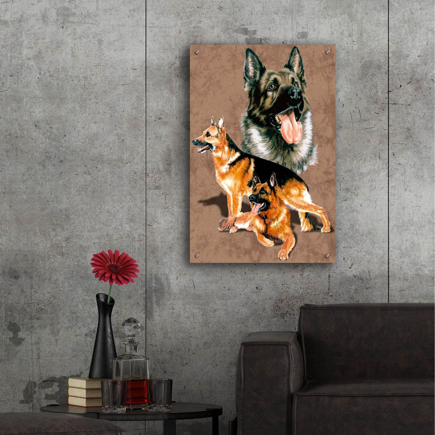 Epic Art 'German Shepherd' by Barbara Keith, Acrylic Glass Wall Art,24x36