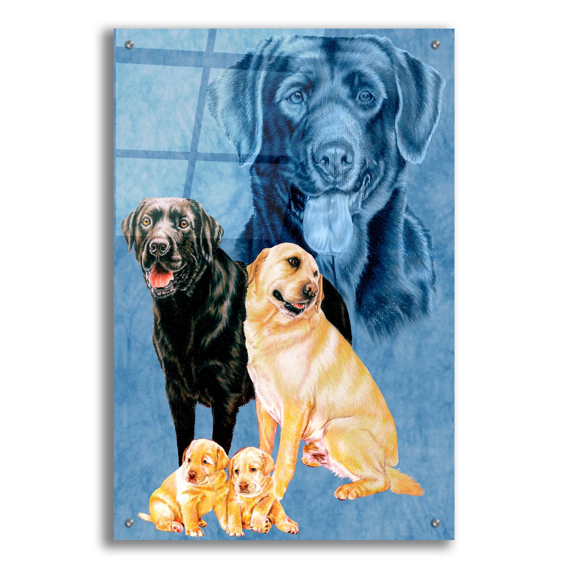 Epic Art 'Labrador Retrievers' by Barbara Keith, Acrylic Glass Wall Art,24x36