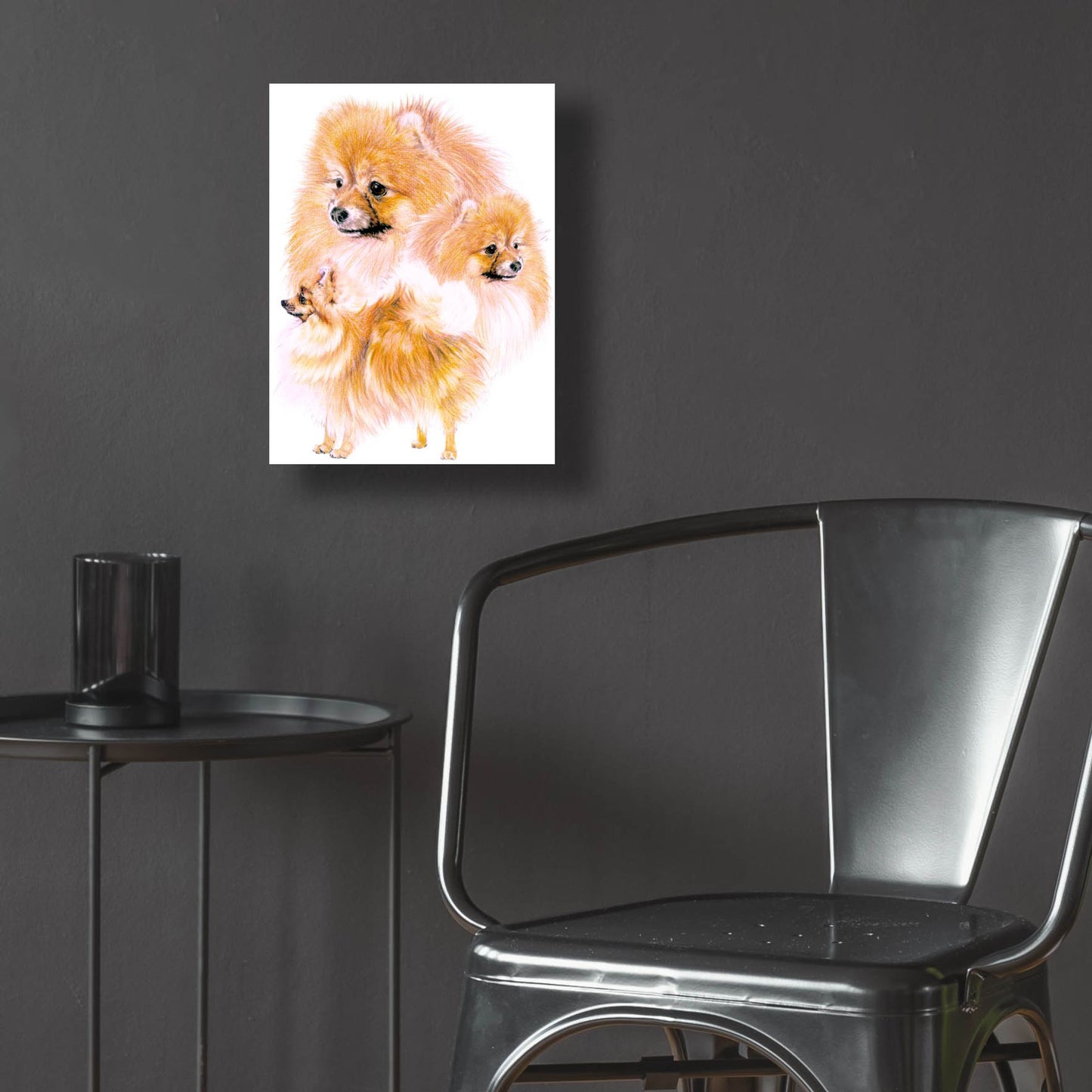 Epic Art 'Pomeranian' by Barbara Keith, Acrylic Glass Wall Art,12x16