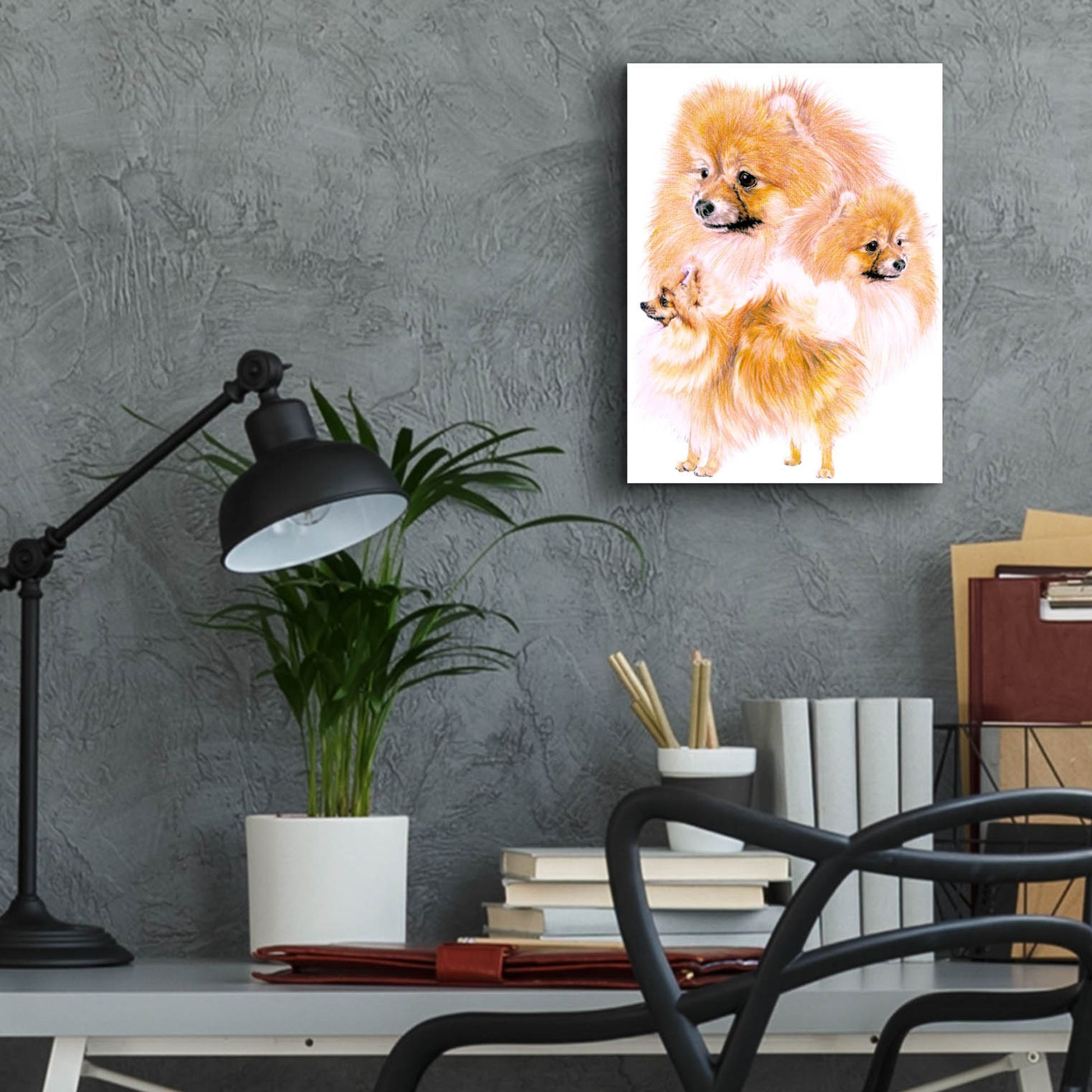 Epic Art 'Pomeranian' by Barbara Keith, Acrylic Glass Wall Art,12x16