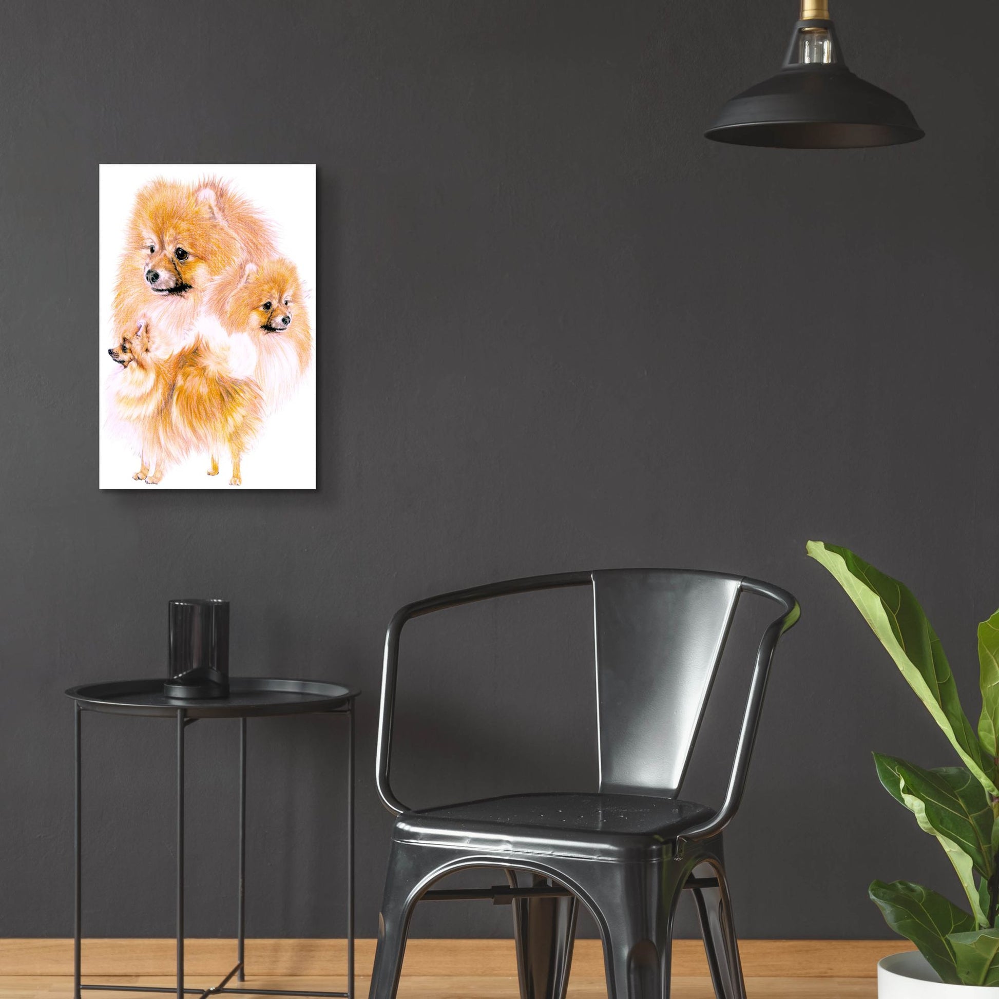 Epic Art 'Pomeranian' by Barbara Keith, Acrylic Glass Wall Art,16x24