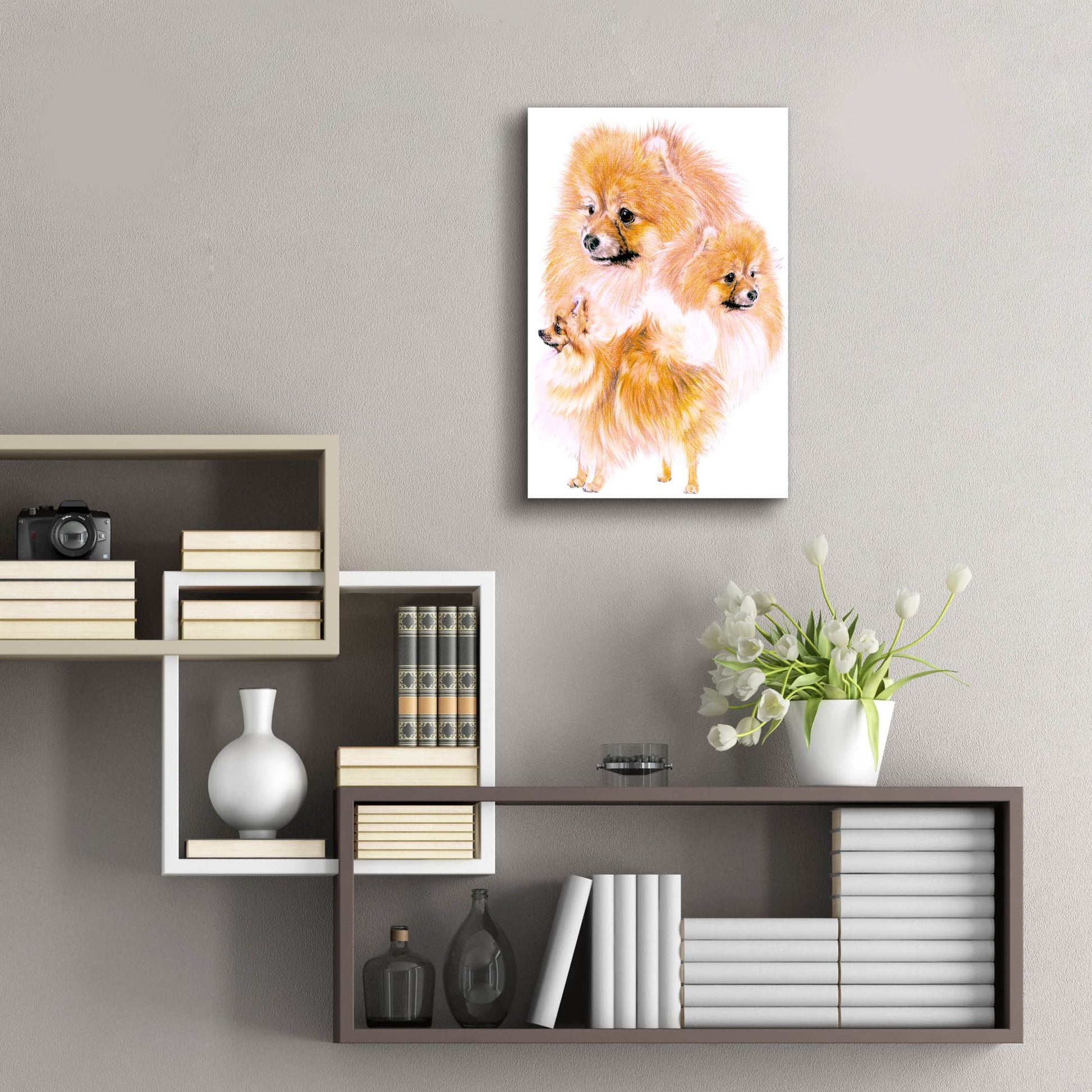 Epic Art 'Pomeranian' by Barbara Keith, Acrylic Glass Wall Art,16x24